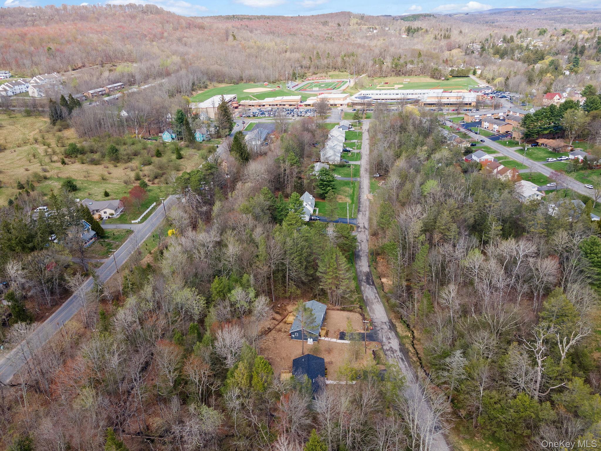 Single Family Pinehurst Drive W  Sullivan County, NY 12754, MLS-984025-43