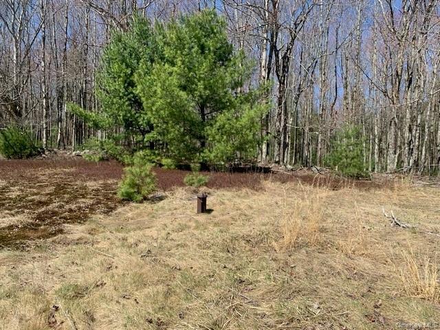 Single Family Wild Sullivan County, NY 12775, MLS-984146-10
