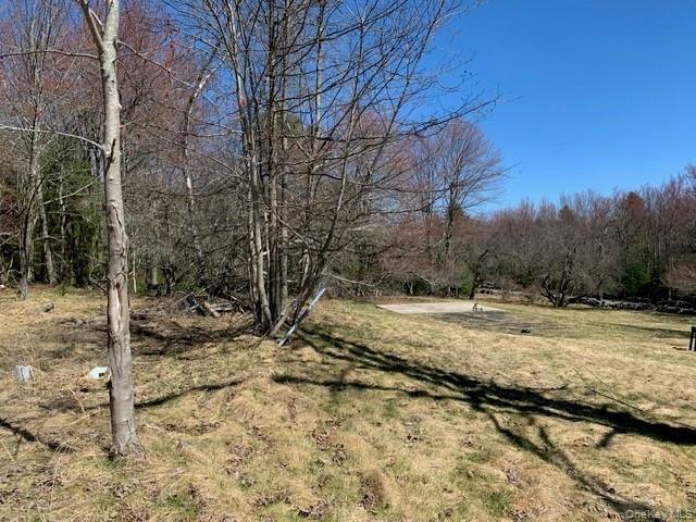 Single Family Wild Sullivan County, NY 12775, MLS-984146-11