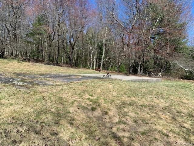Single Family Wild Sullivan County, NY 12775, MLS-984146-12