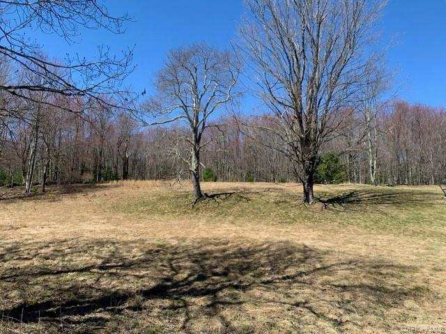 Single Family Wild Sullivan County, NY 12775, MLS-984146-5