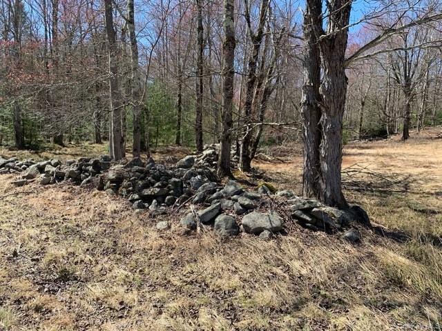 Single Family Wild Sullivan County, NY 12775, MLS-984146-6