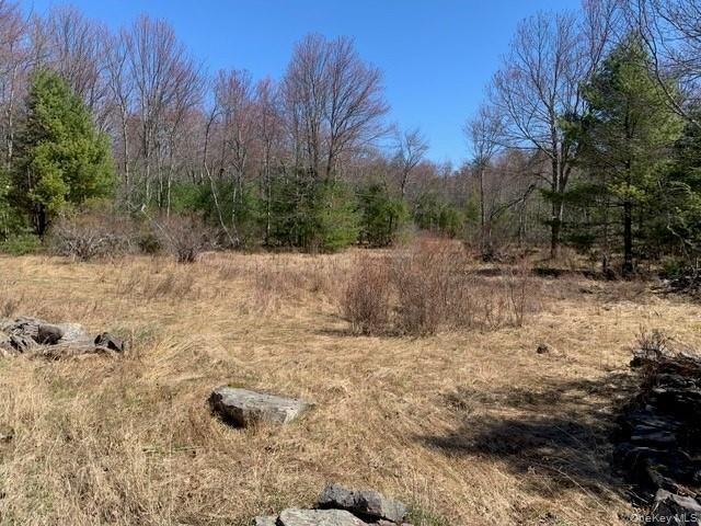 Single Family Wild Sullivan County, NY 12775, MLS-984146-7