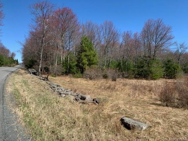 Single Family Wild Sullivan County, NY 12775, MLS-984146-8