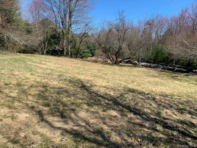 Single Family Wild Sullivan County, NY 12775, MLS-984146-9