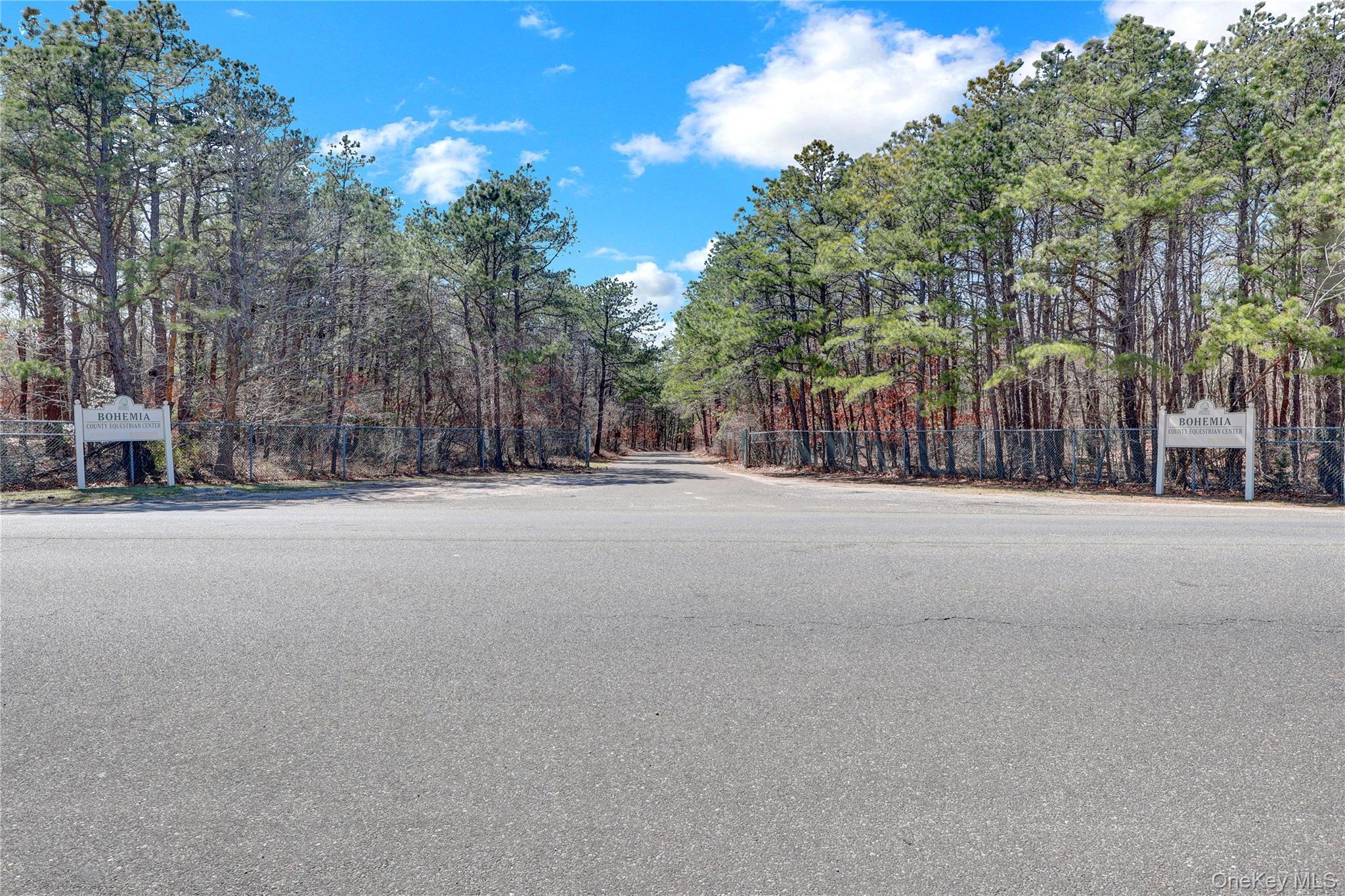 Single Family Sycamore  Suffolk County, NY 11716, MLS-984162-29