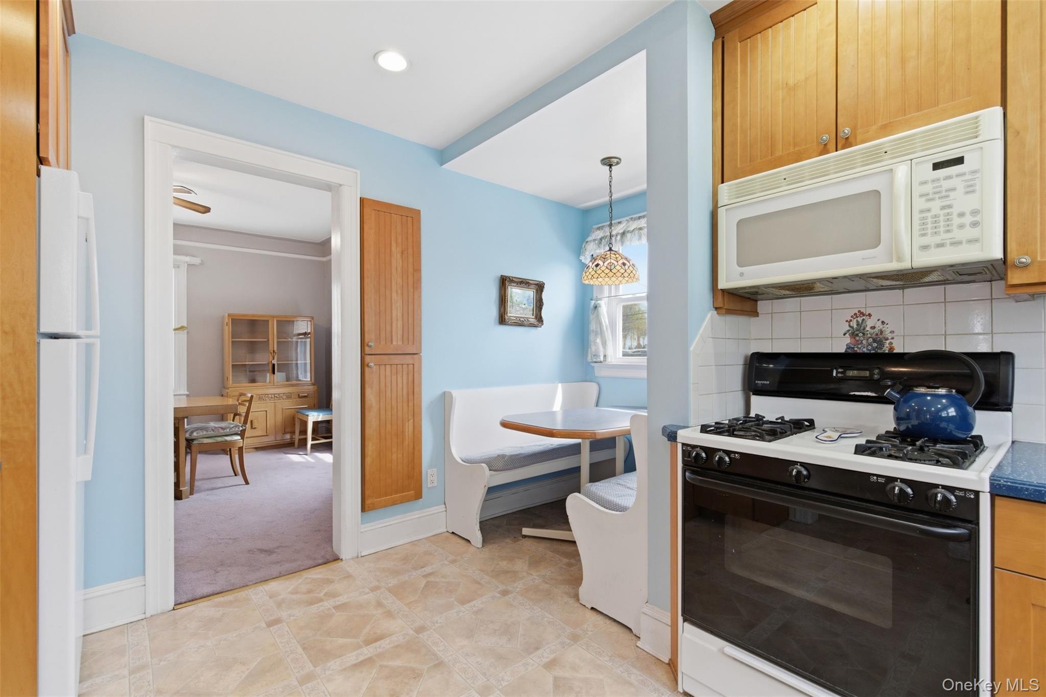 Single Family Iris  Nassau County, NY 11001, MLS-984210-13