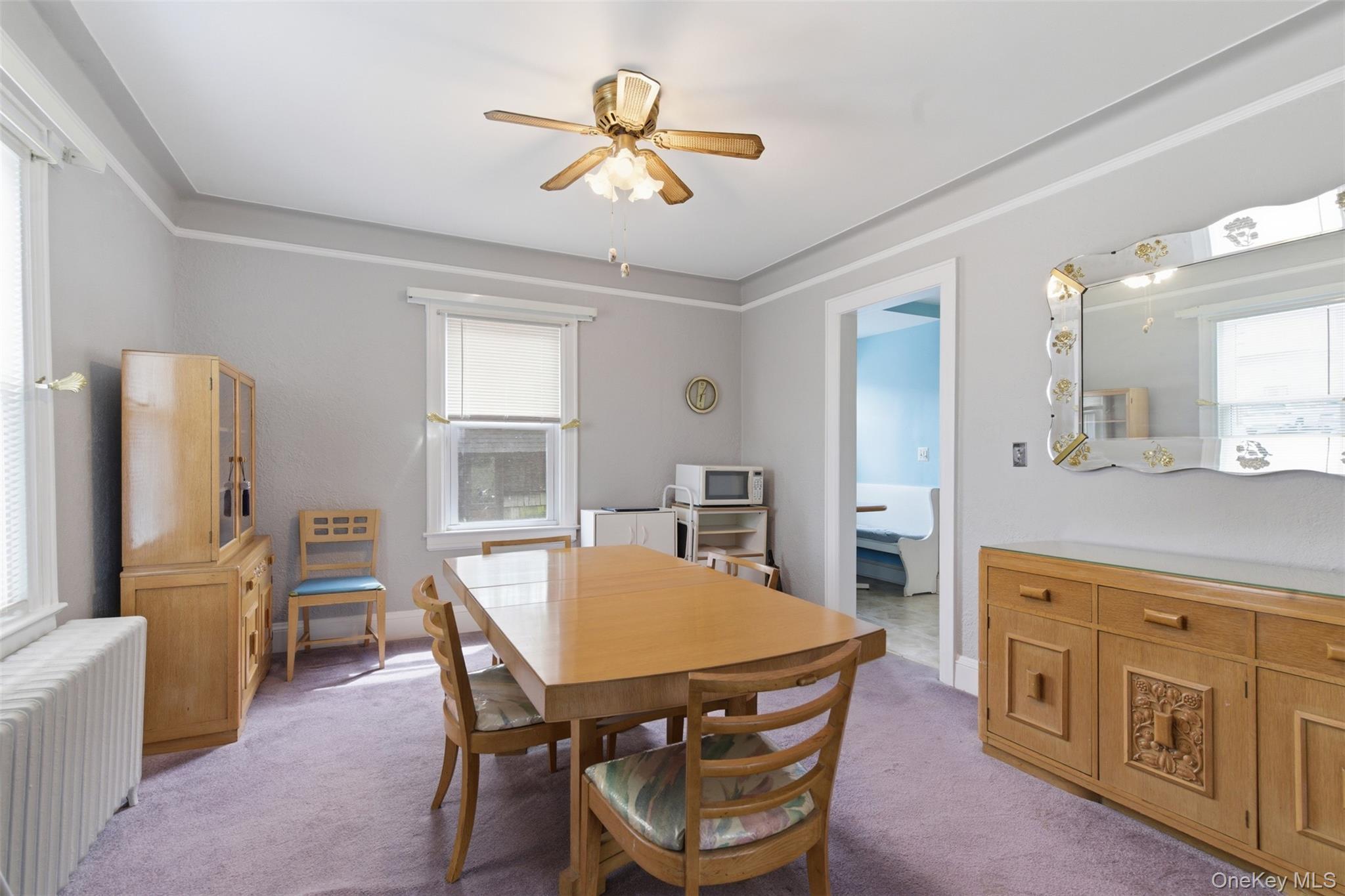 Single Family Iris  Nassau County, NY 11001, MLS-984210-9