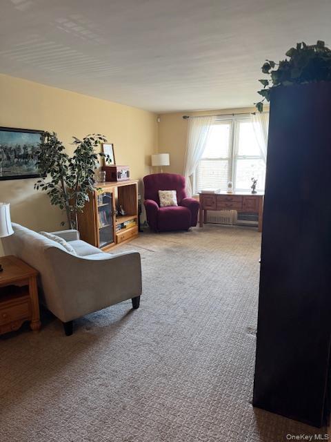 Coop Brooklyn  Nassau County, NY 11520, MLS-984212-14