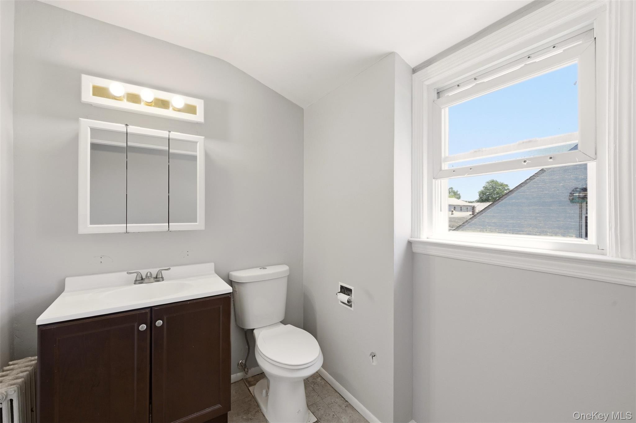 Single Family Delmar Avenue  Nassau County, NY 11010, MLS-984249-16