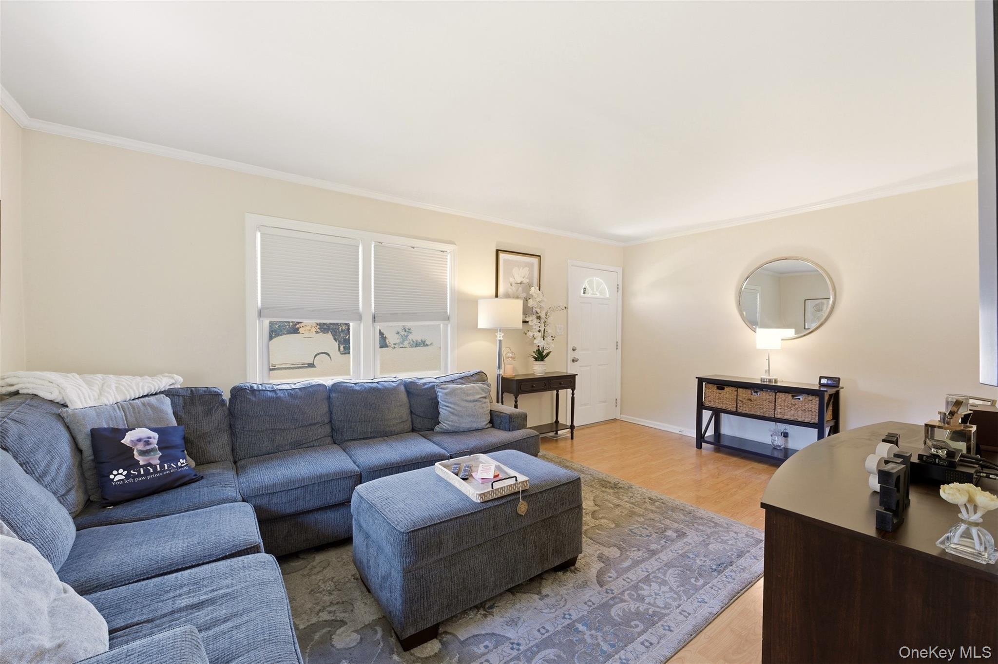Single Family Delmar Avenue  Nassau County, NY 11010, MLS-984249-4