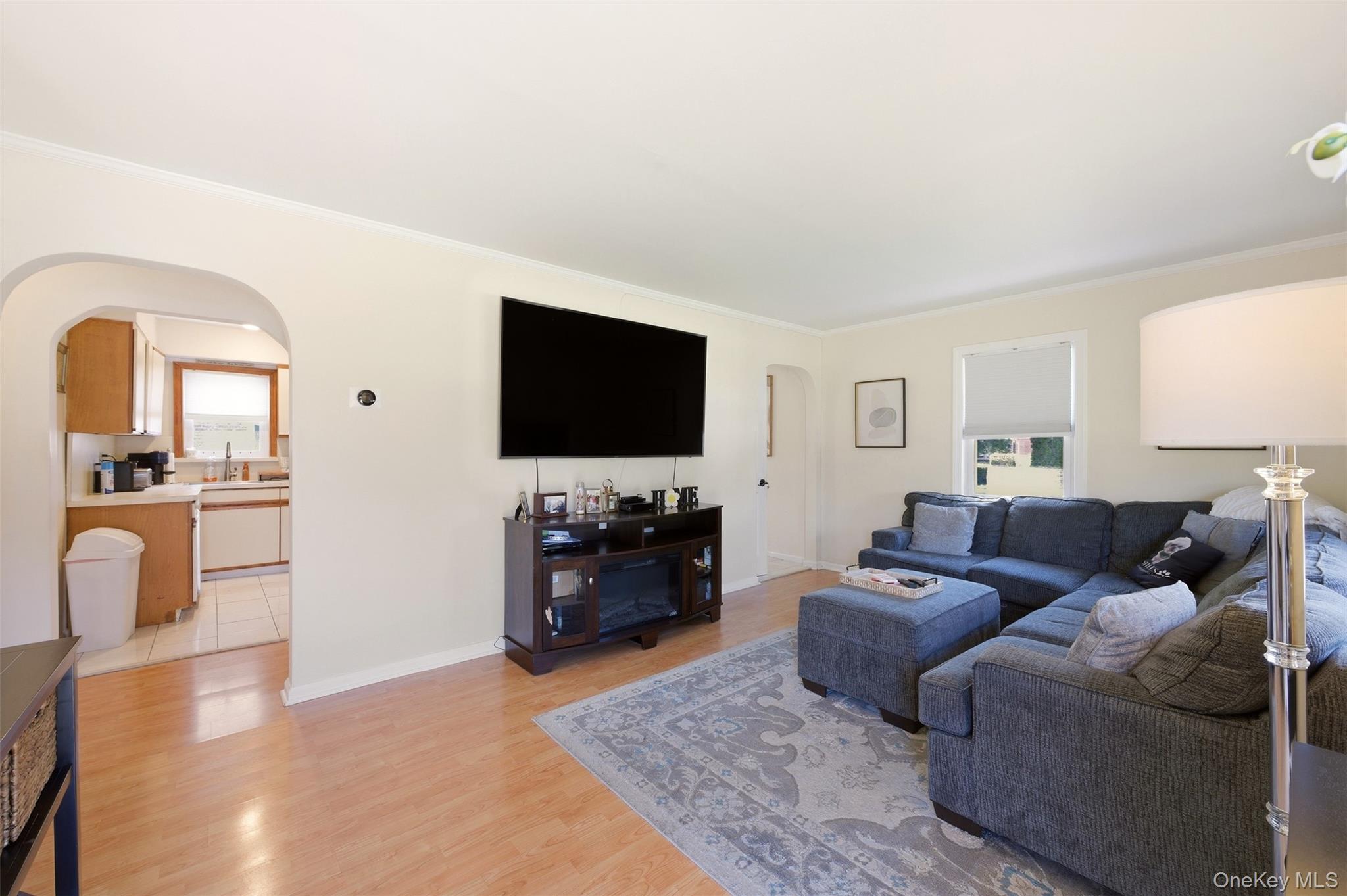 Single Family Delmar Avenue  Nassau County, NY 11010, MLS-984249-5
