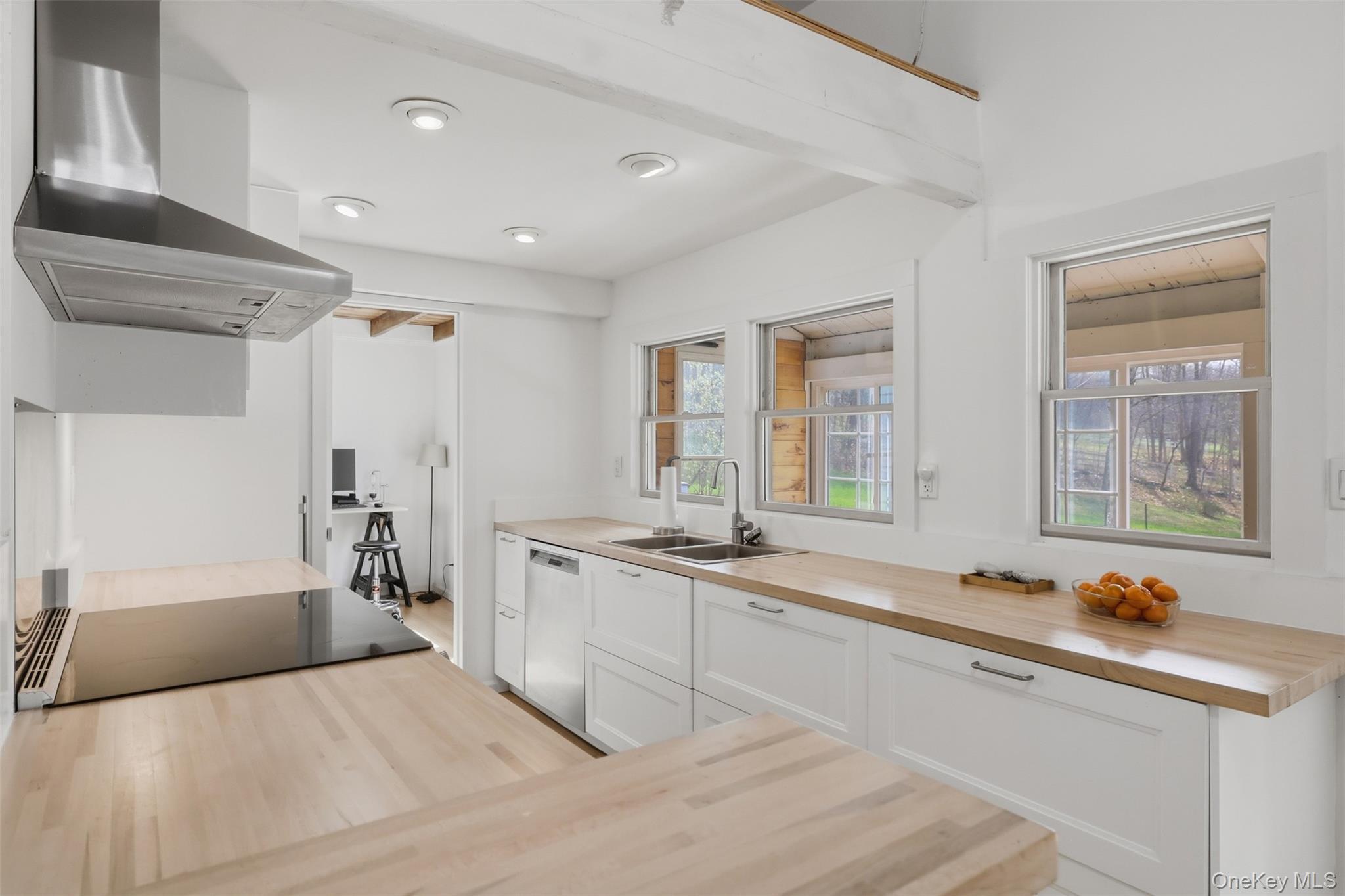 Single Family White Schoolhouse  Dutchess County, NY 12572, MLS-984293-10