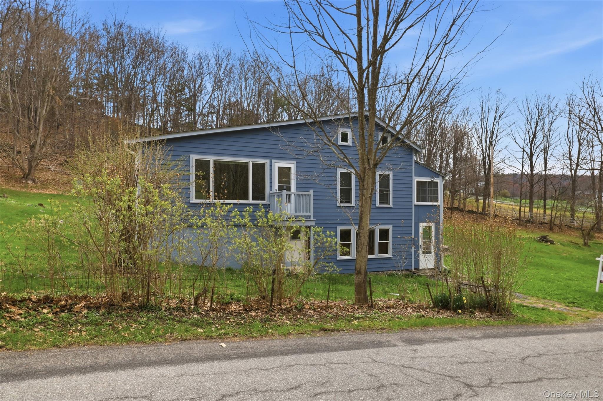 Single Family White Schoolhouse  Dutchess County, NY 12572, MLS-984293-2