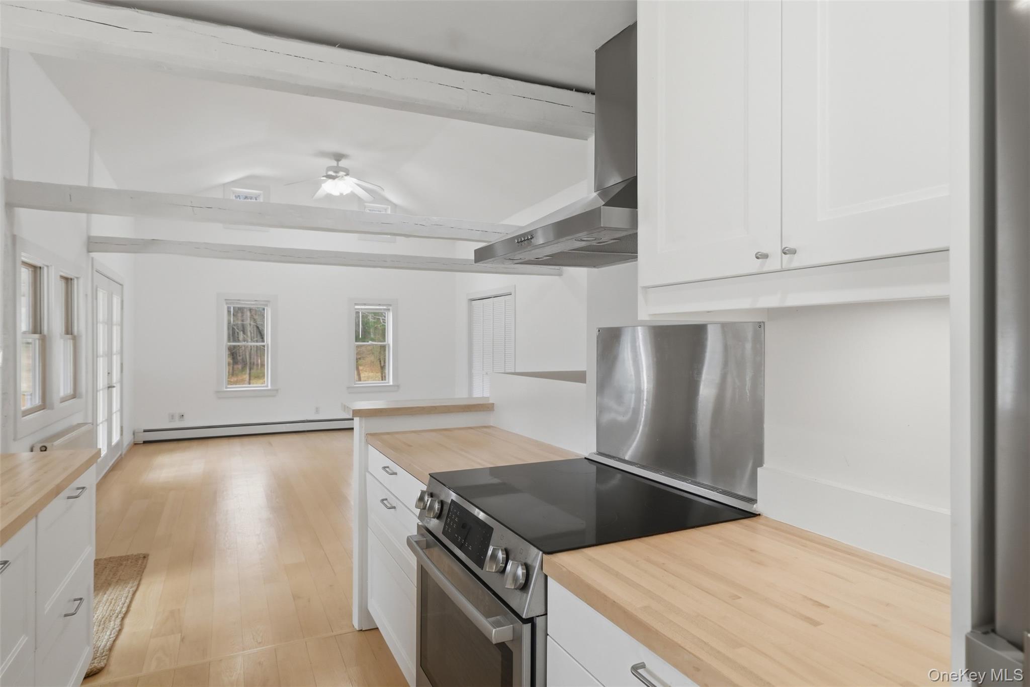 Single Family White Schoolhouse  Dutchess County, NY 12572, MLS-984293-8