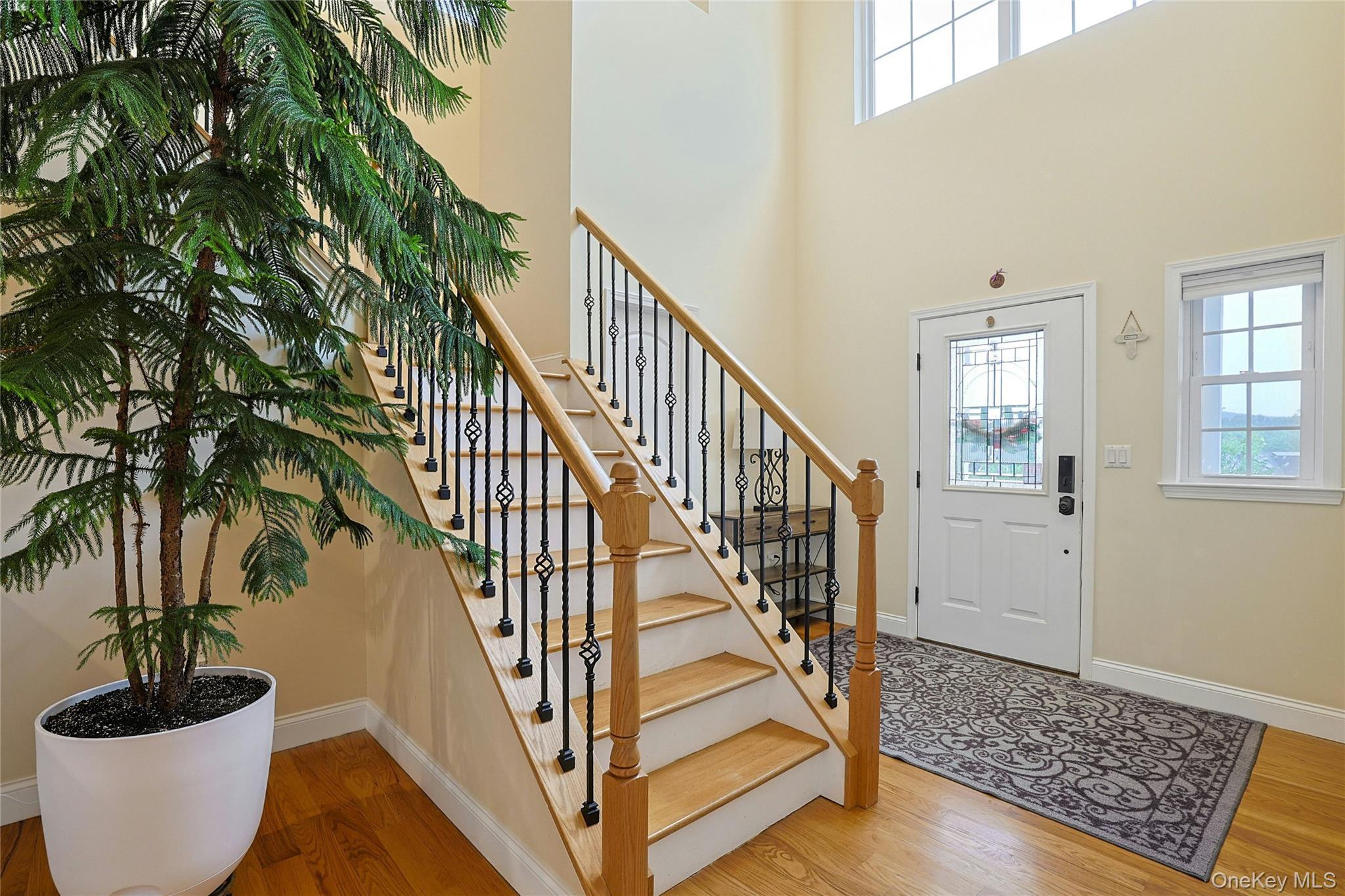 Single Family Tanyas  Orange County, NY 10950, MLS-984314-20