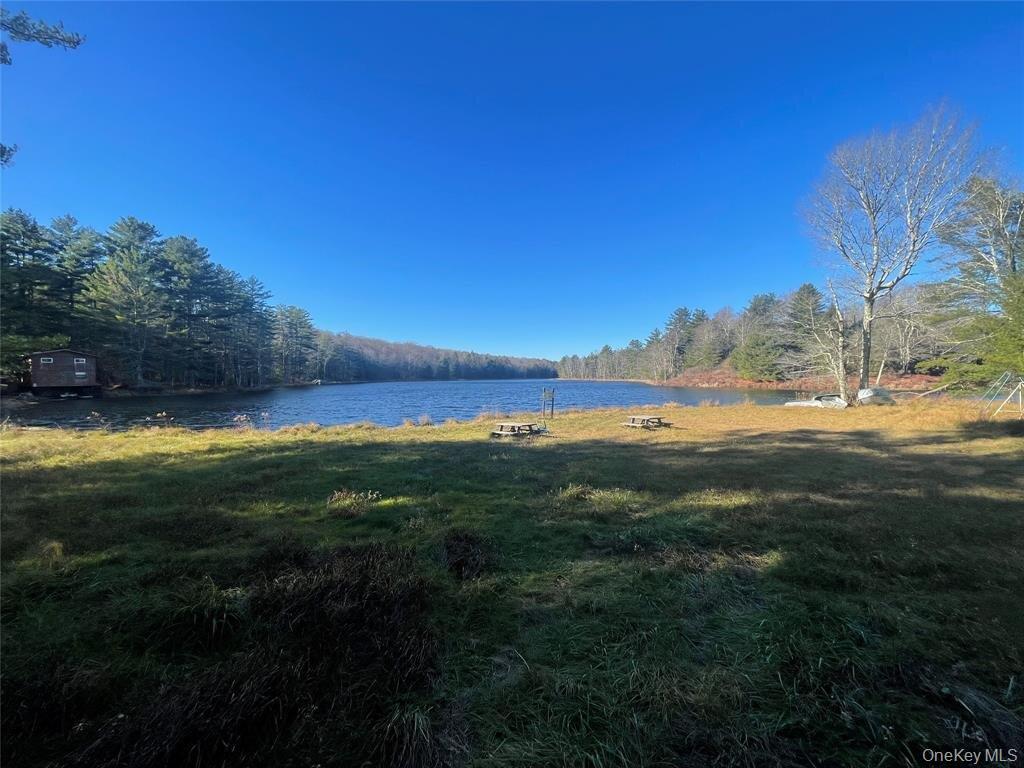 Single Family Melody Lake  Sullivan County, NY 12701, MLS-984330-7
