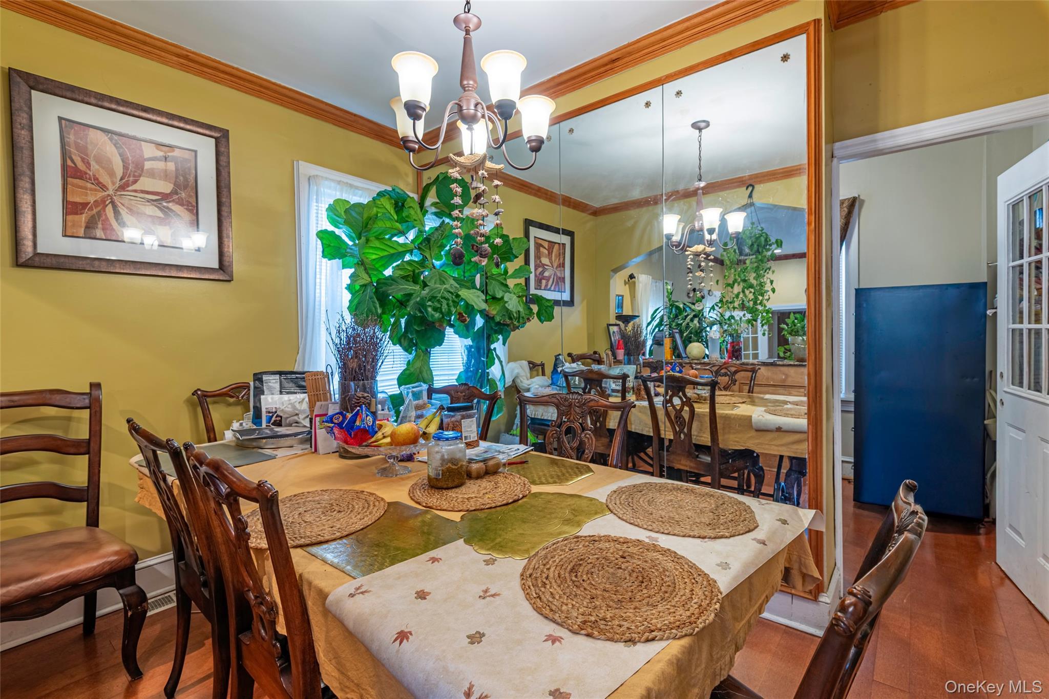 Single Family 227th  Queens, NY 11411, MLS-984380-9