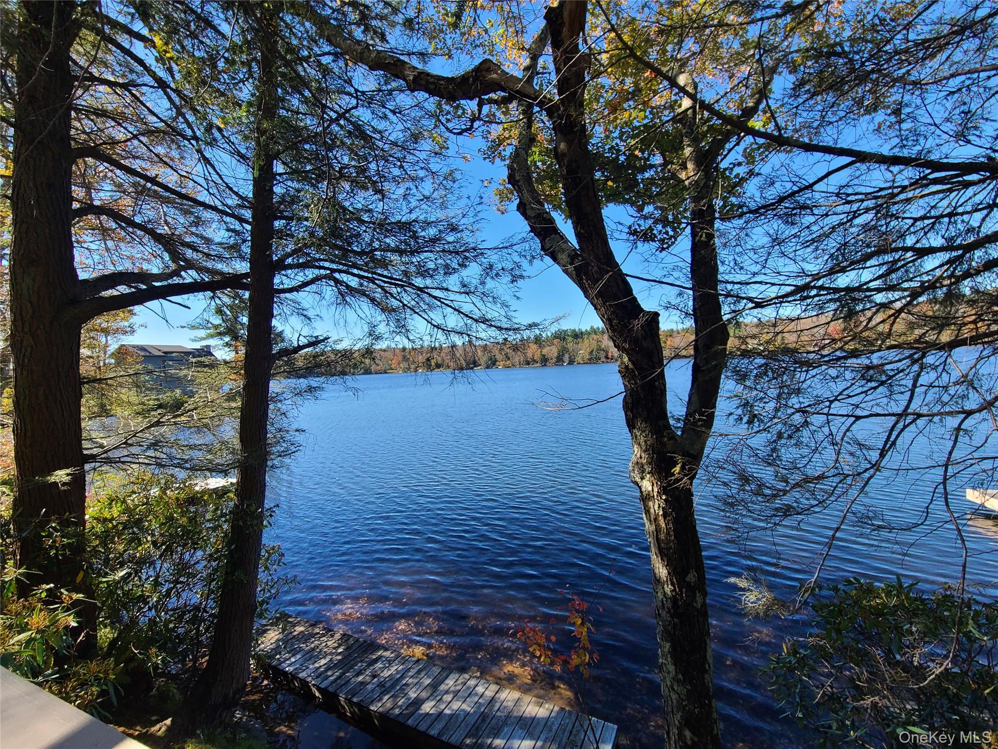 Single Family Park  Sullivan County, NY 12768, MLS-984382-30