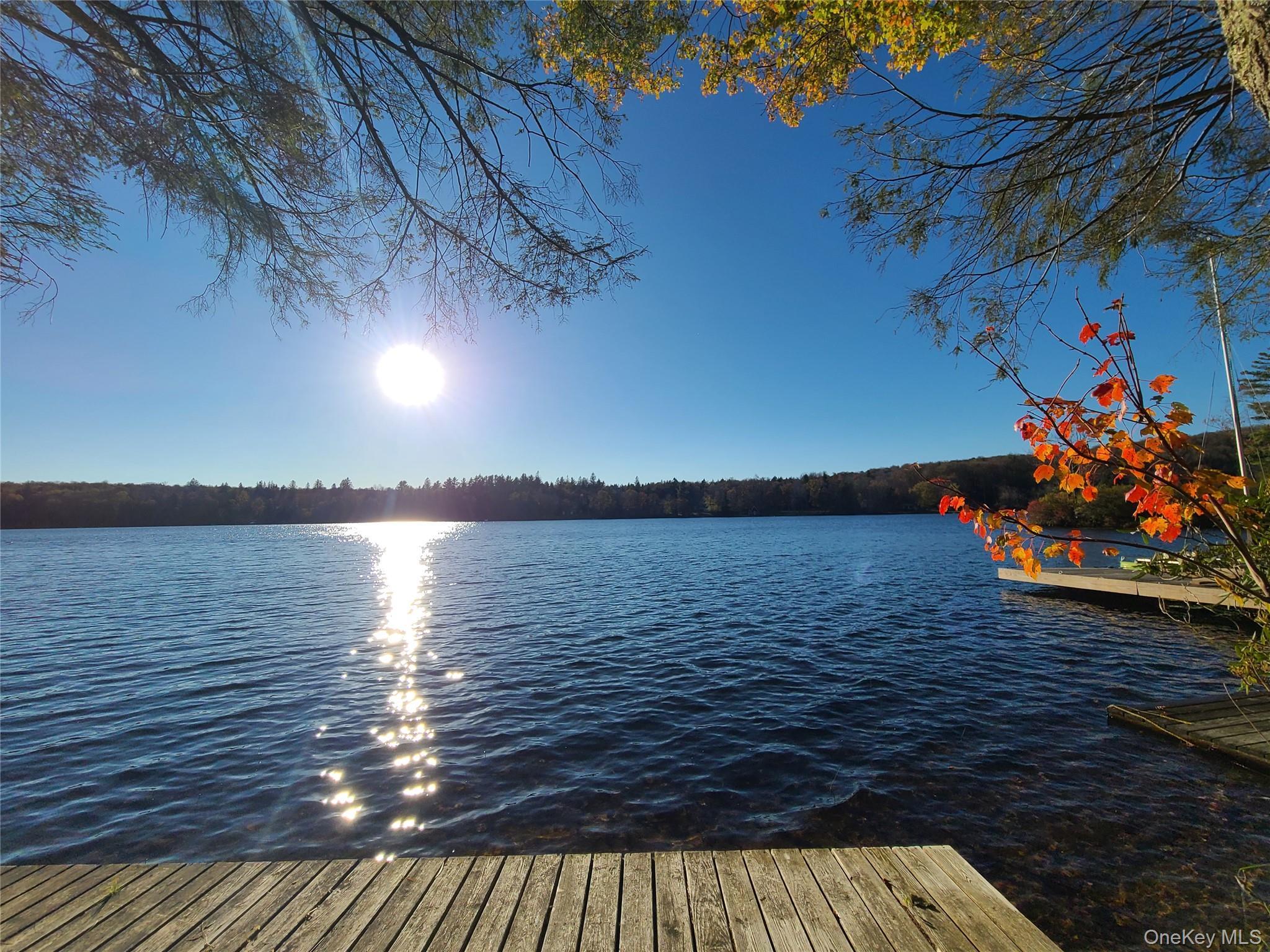 Single Family Park  Sullivan County, NY 12768, MLS-984382-37