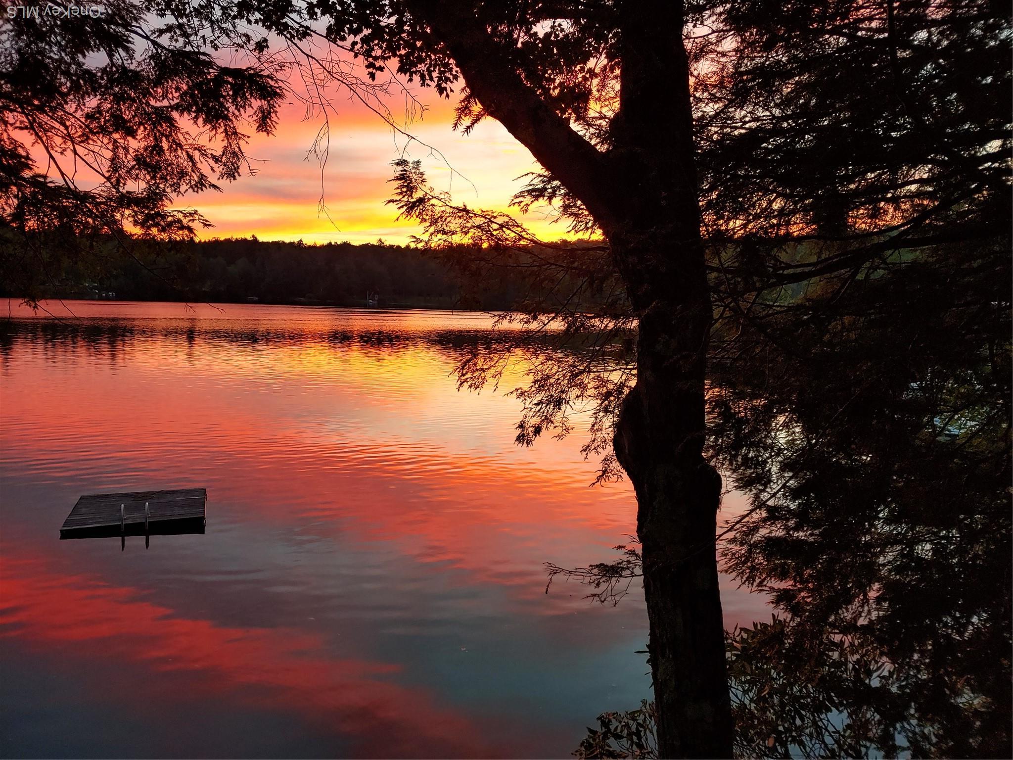 Single Family Park  Sullivan County, NY 12768, MLS-984382-5