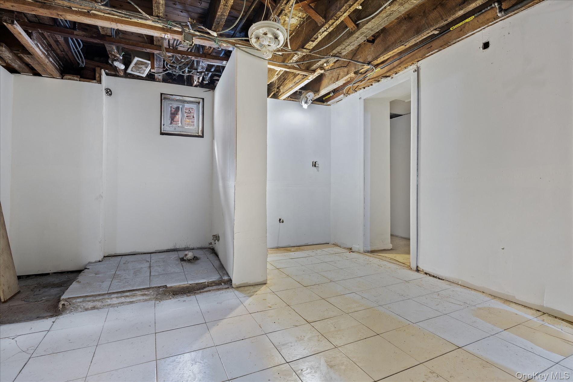 Single Family Avenue I  Brooklyn, NY 11234, MLS-984404-24