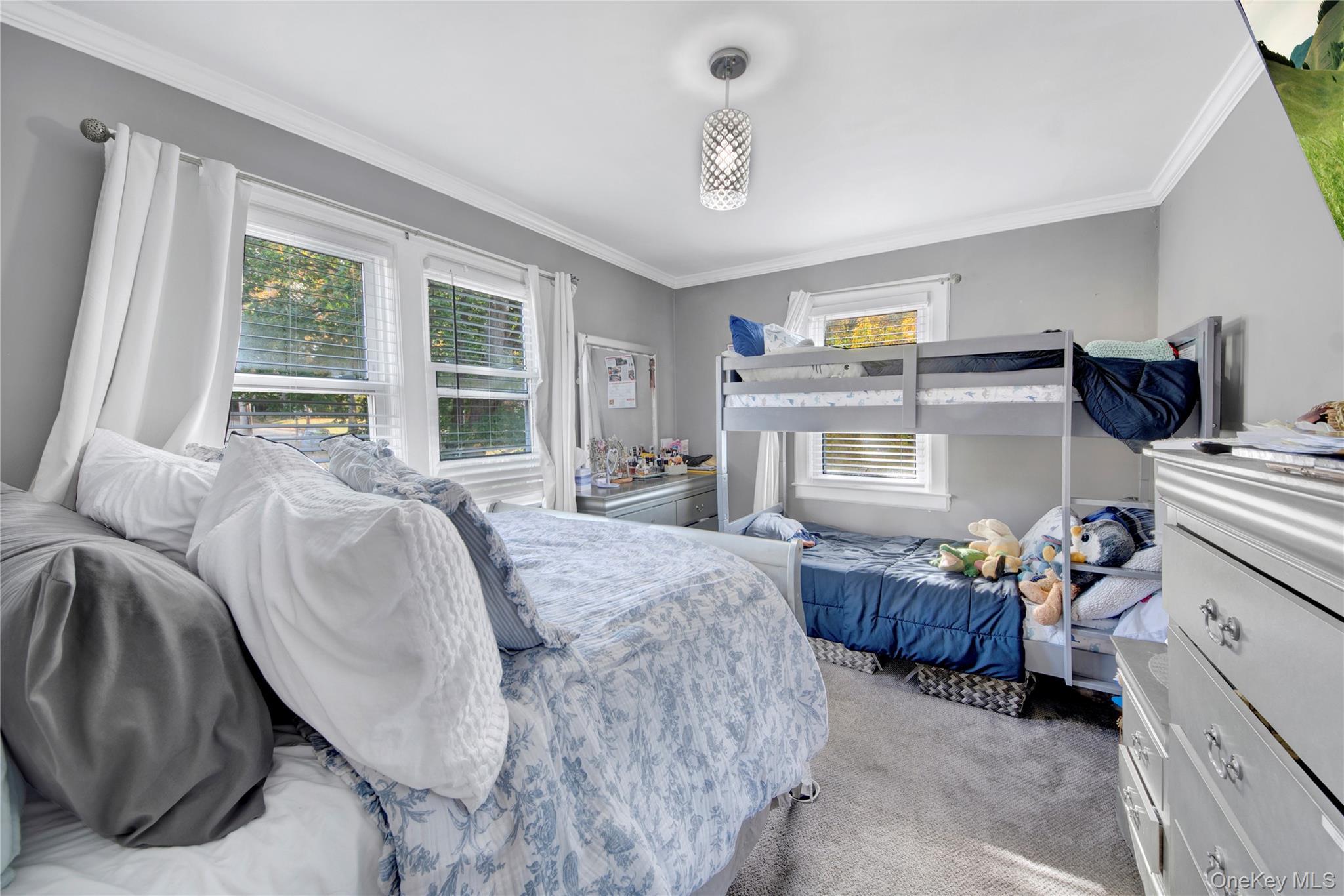 Single Family Park  Westchester County, NY 10603, MLS-984427-22