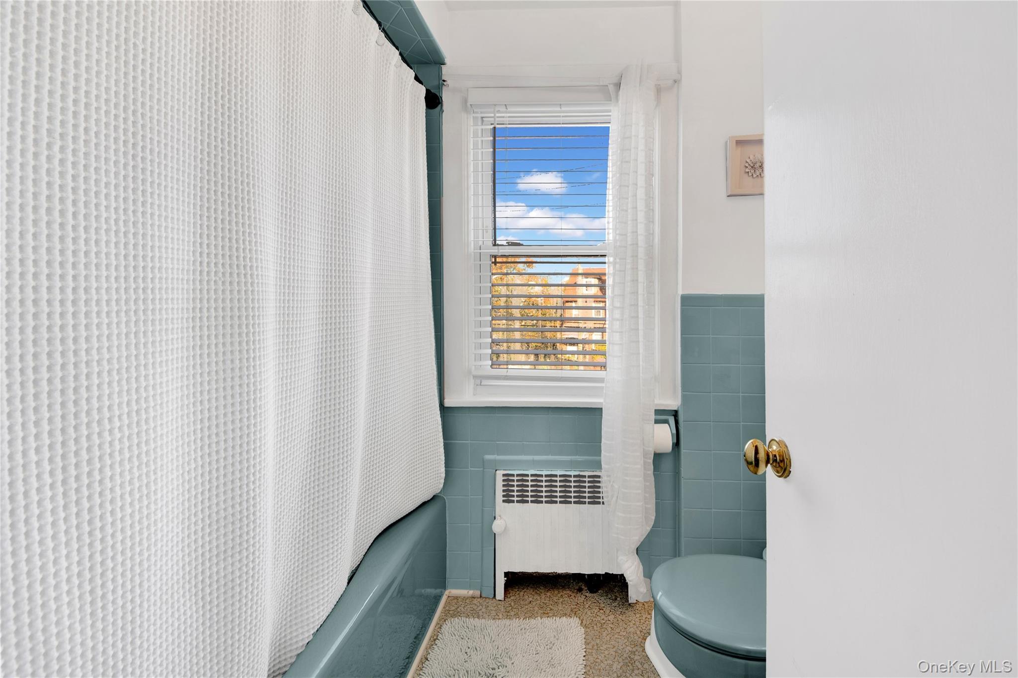 Single Family Park  Westchester County, NY 10603, MLS-984427-27