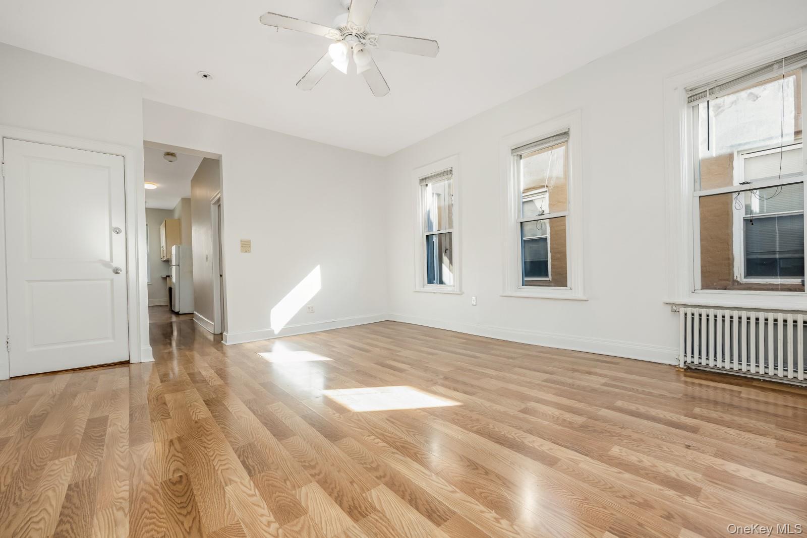 Single Family 67th Queens, NY 11379, MLS-984458-19