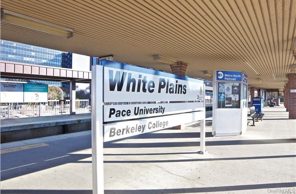 Single Family Chase  Westchester County, NY 10606, MLS-984460-37