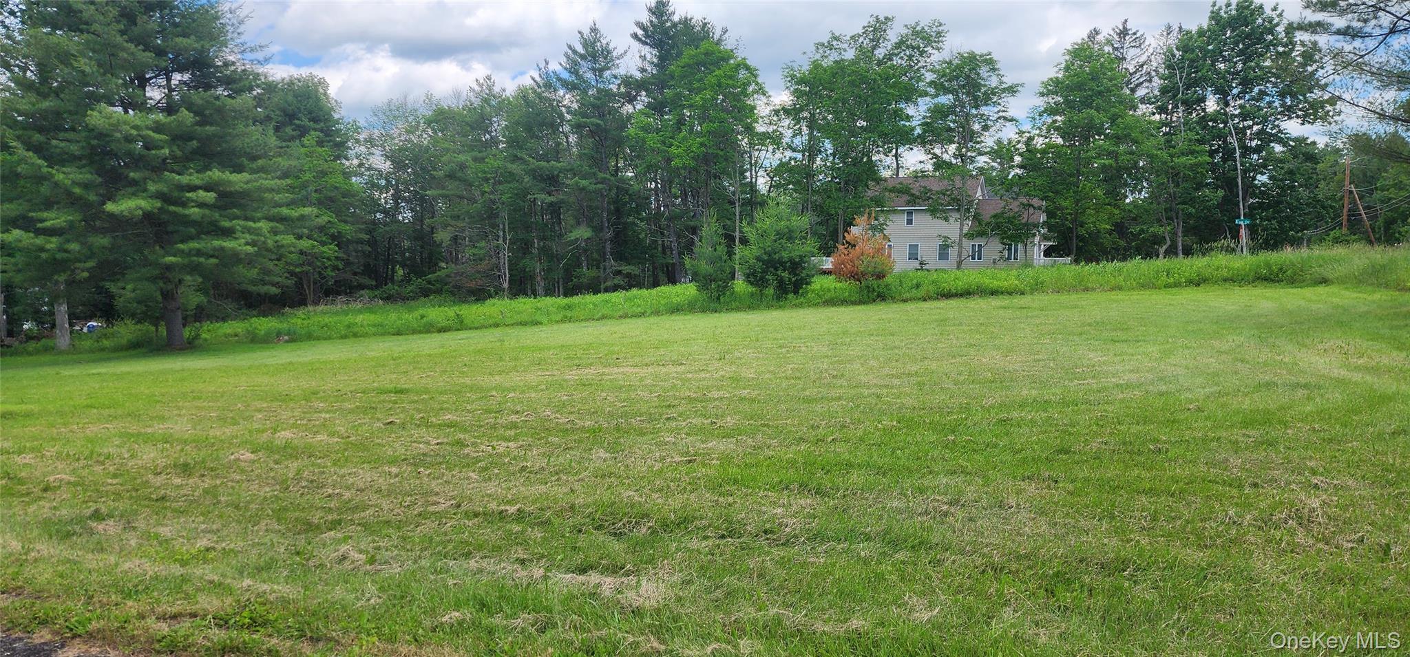 Single Family Sackett Lake  Sullivan County, NY 12701, MLS-984471-9