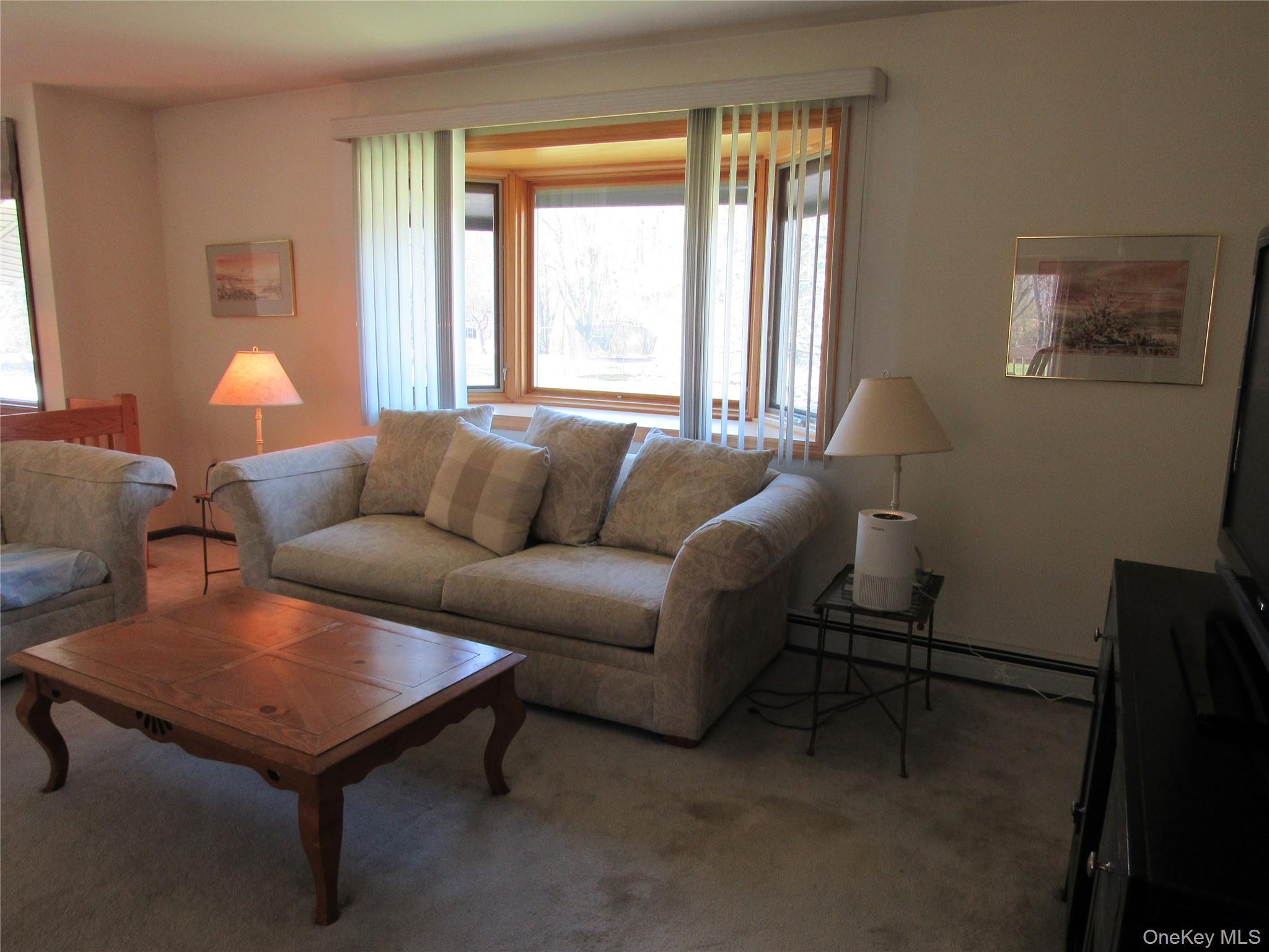 Single Family Hillside  Orange County, NY 10973, MLS-984486-6