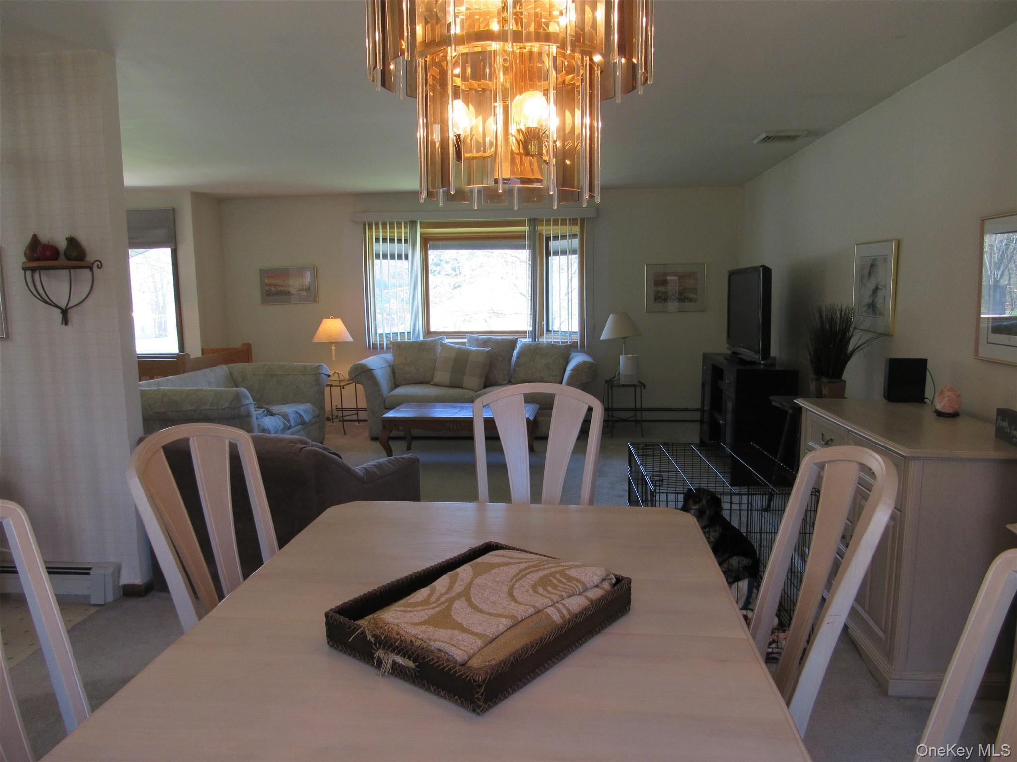 Single Family Hillside  Orange County, NY 10973, MLS-984486-8