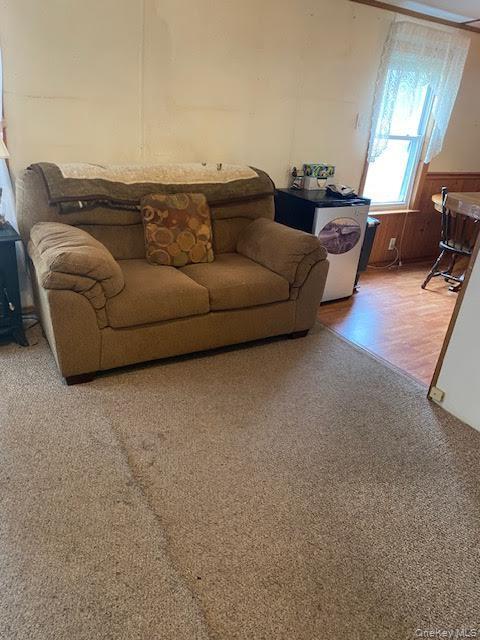 Single Family Clarion  Sullivan County, NY 12779, MLS-984488-10