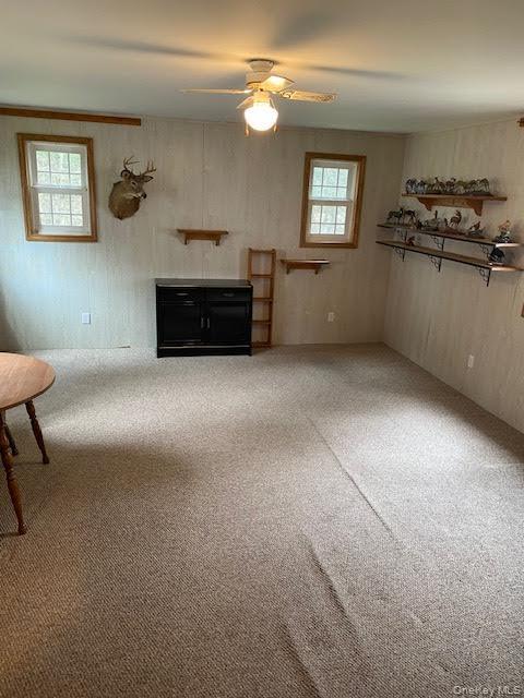 Single Family Clarion  Sullivan County, NY 12779, MLS-984488-8