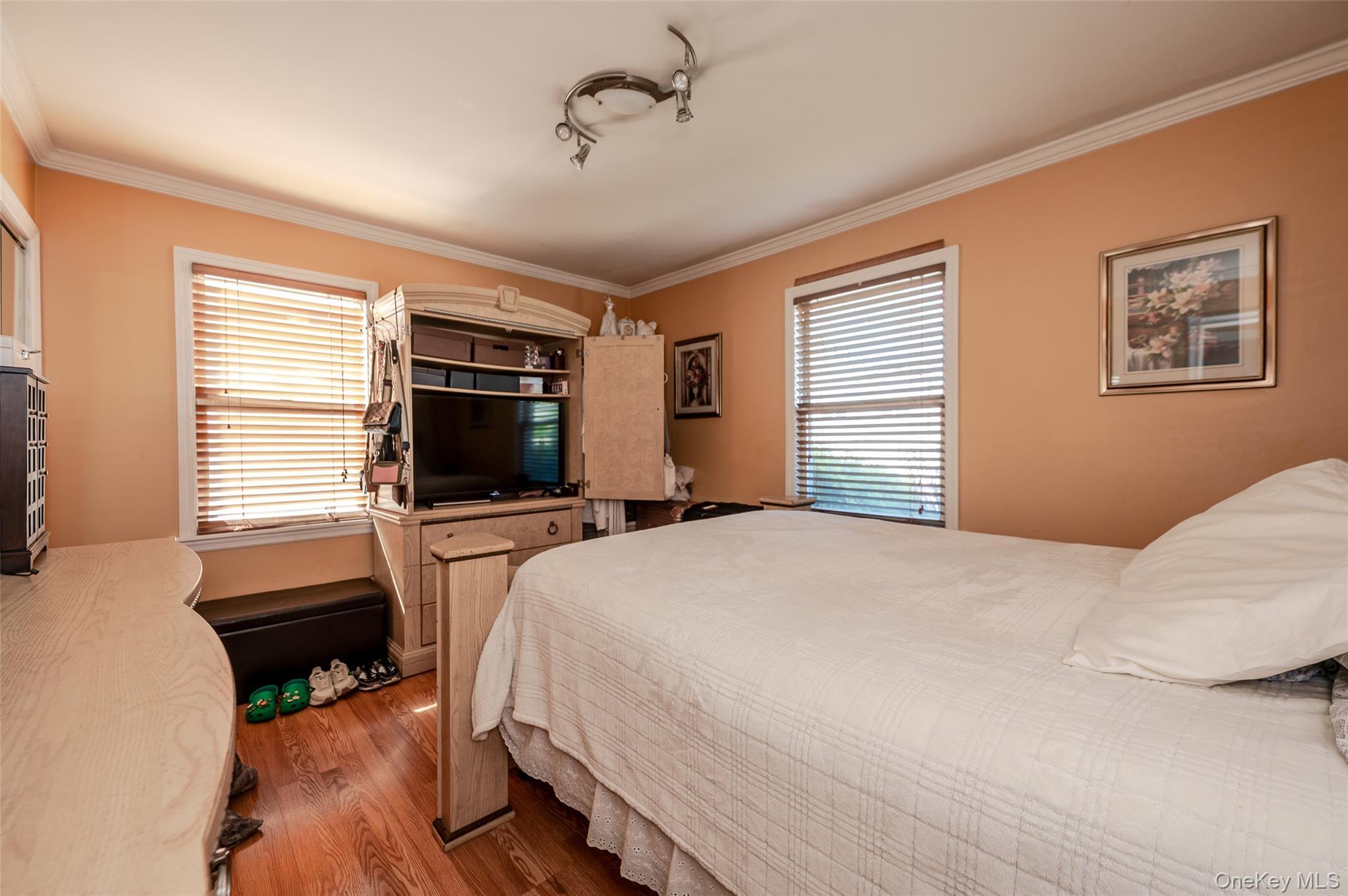 Single Family Scranton Avenue Nassau County, NY 11563, MLS-984492-8