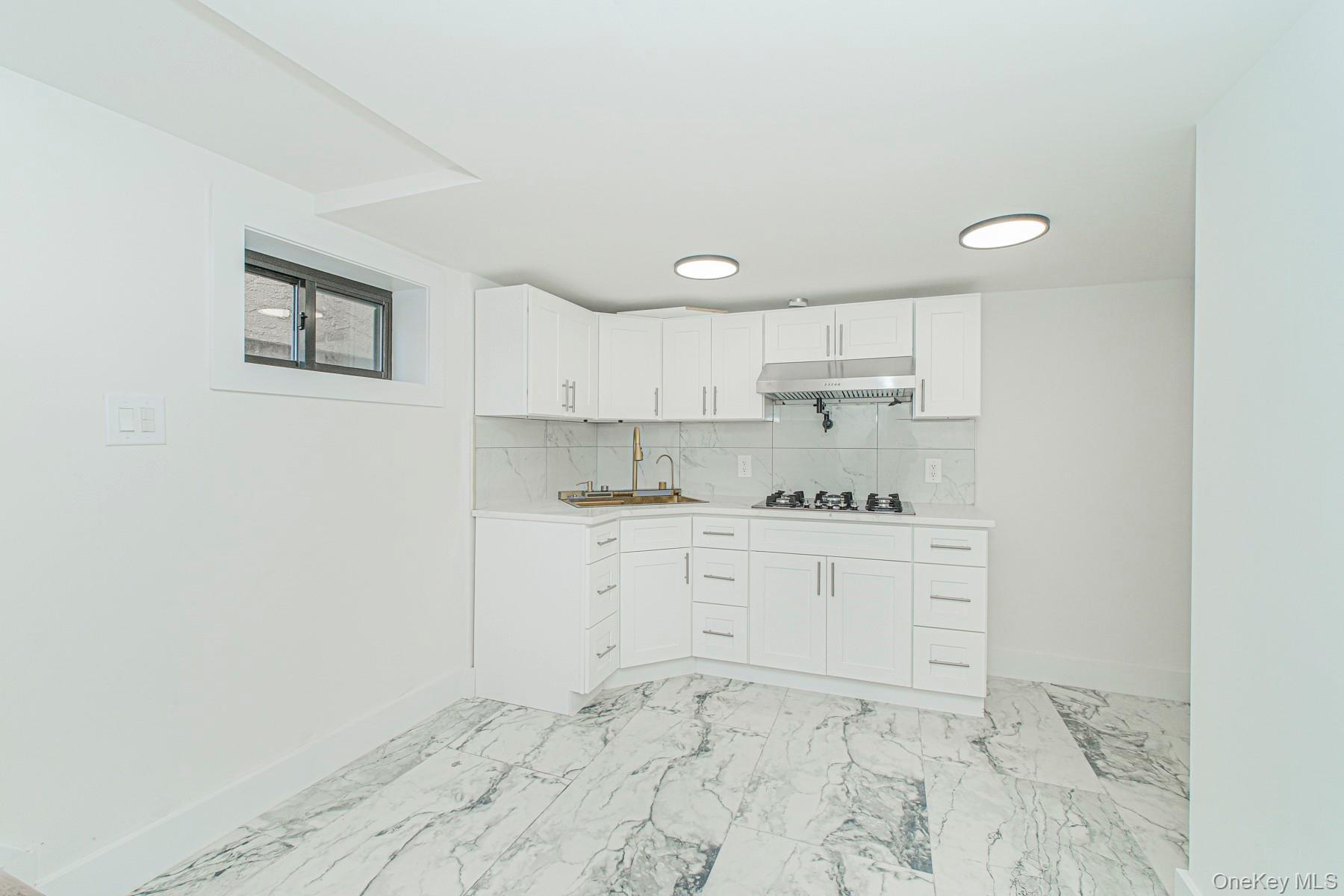 Single Family Brooklyn  Brooklyn, NY 11210, MLS-984518-19