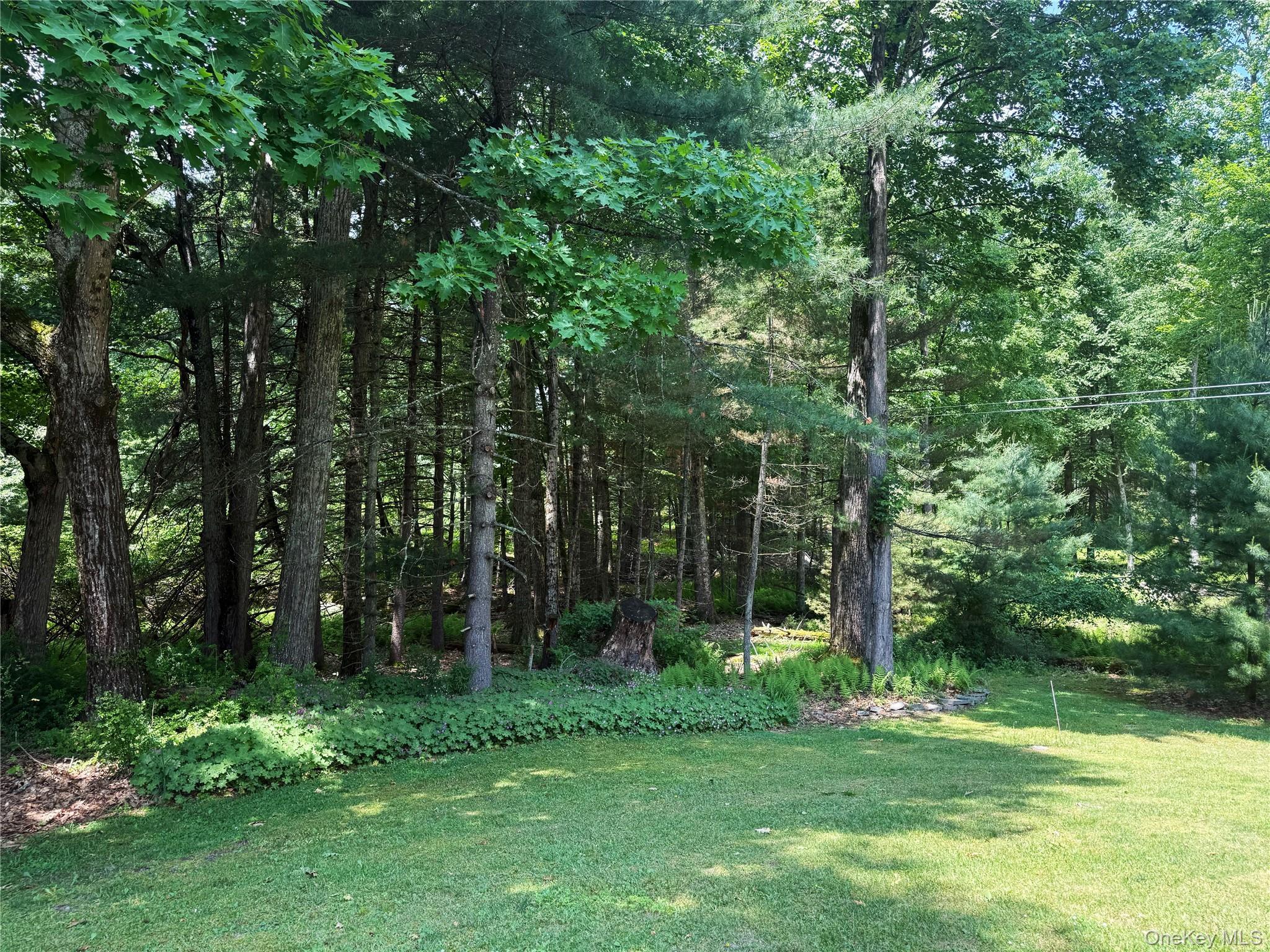 Single Family Sackett Lake Sullivan County, NY 12777, MLS-984523-3