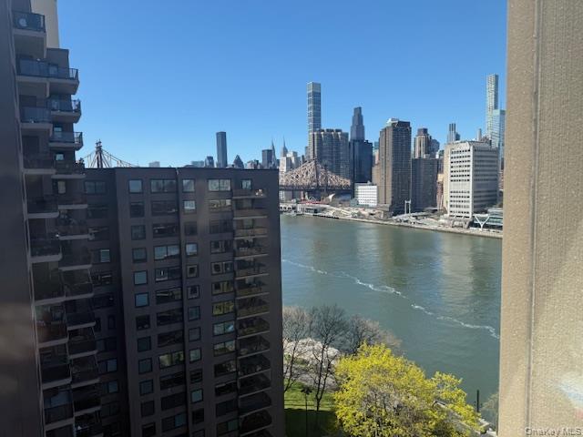 Coop Main  Manhattan, NY 10044, MLS-984595-2