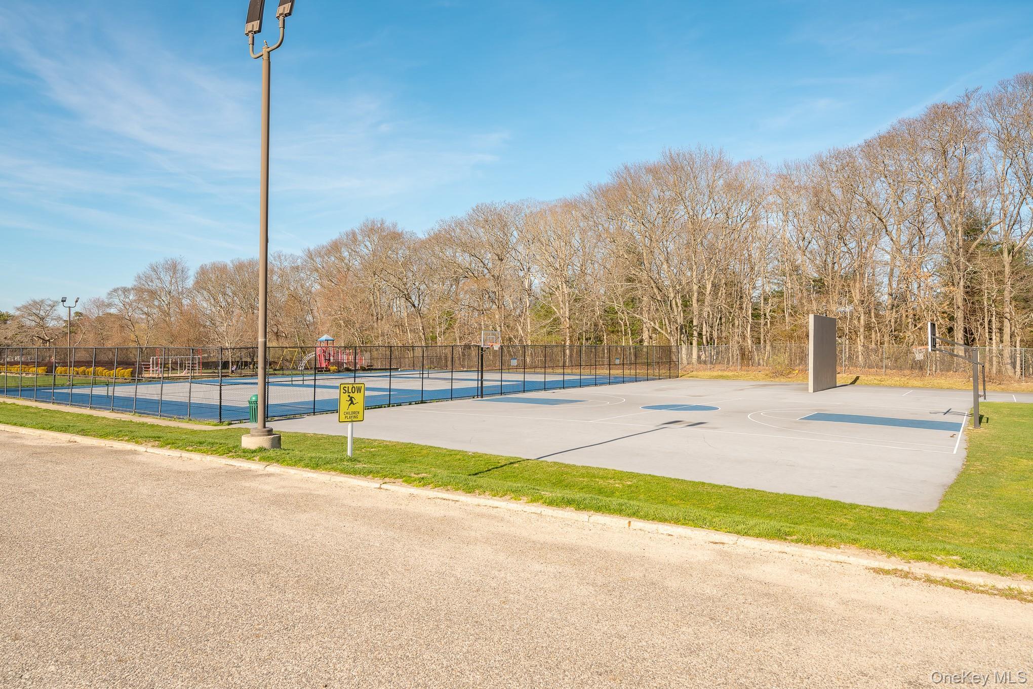 Condo Artist Lake Suffolk County, NY 11953, MLS-984624-22