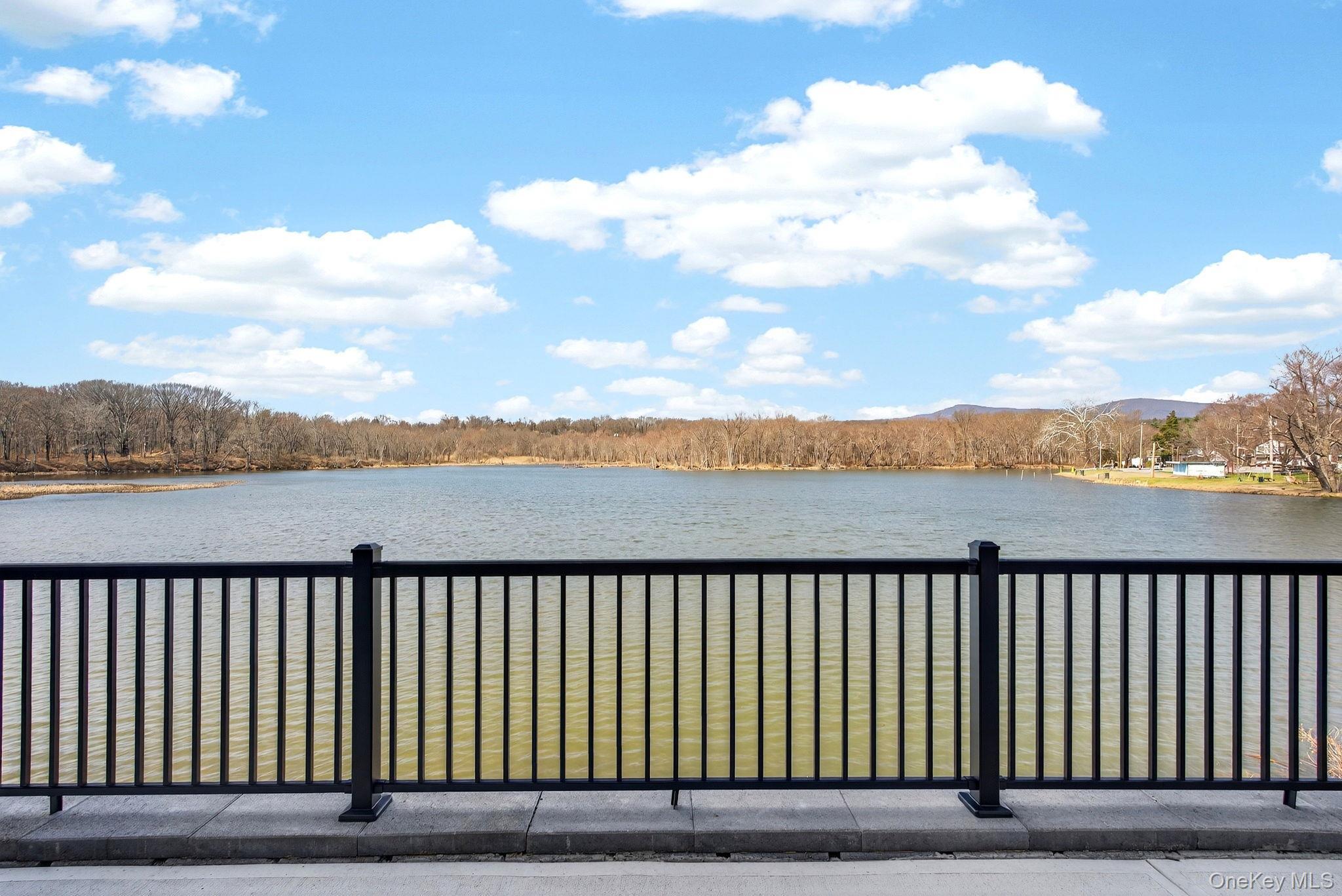 Single Family Icehouse Drive  Ulster County, NY 12477, MLS-984633-44