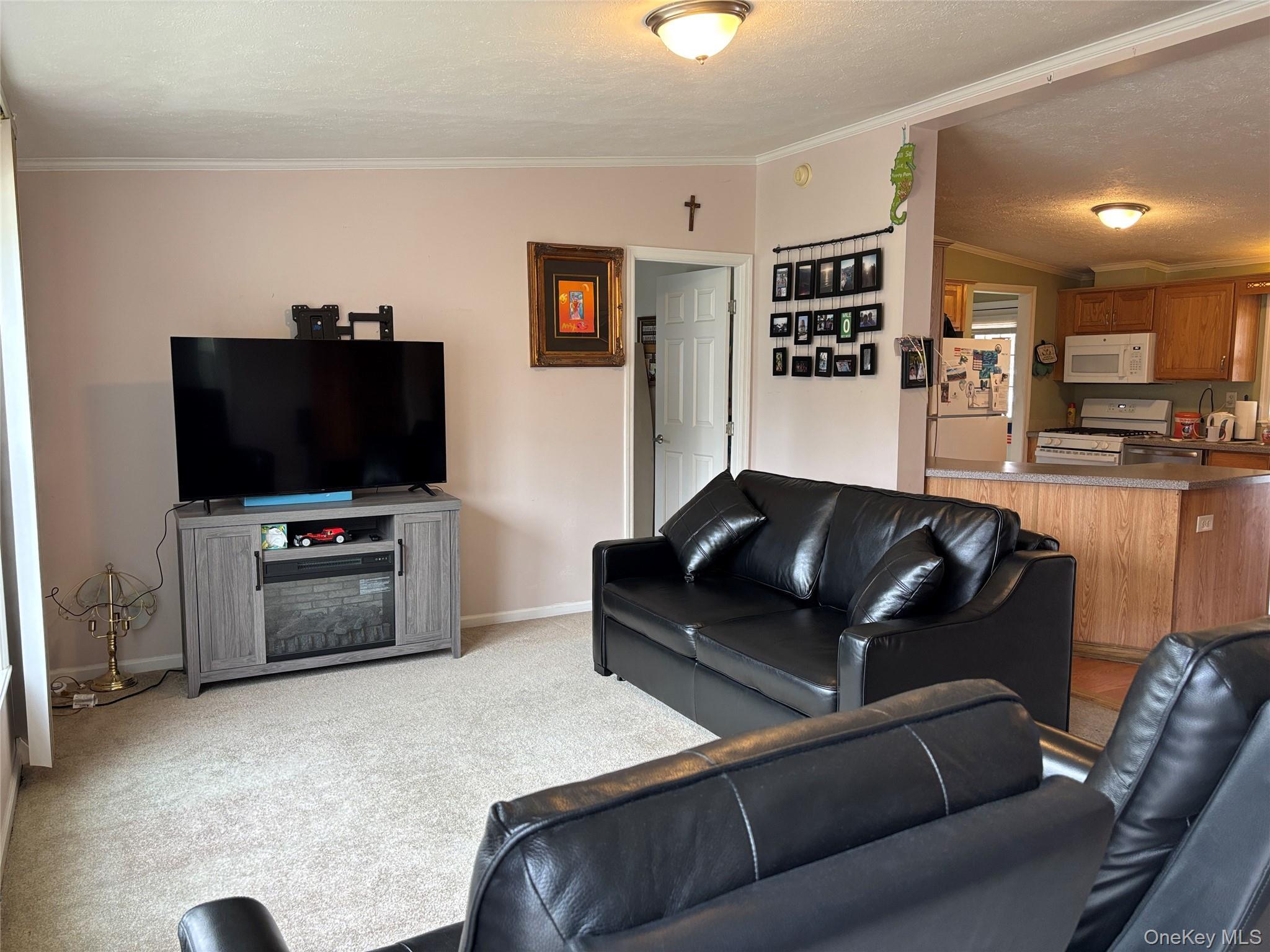 Single Family Old Country Suffolk County, NY 11901, MLS-984696-9