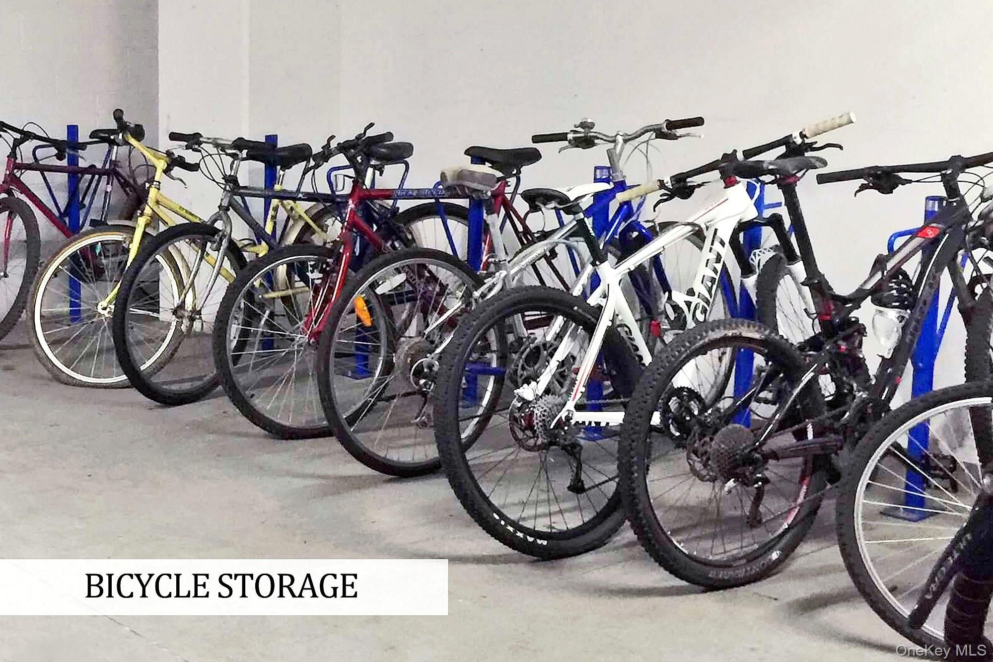 Coop Kappock  Bronx, NY 10463, MLS-984697-22