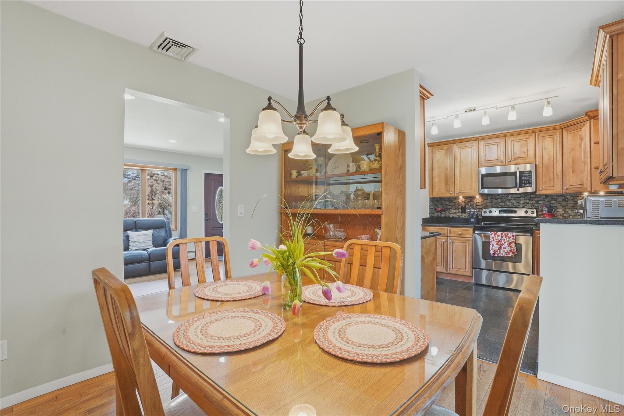 Single Family Robert  Dutchess County, NY 12590, MLS-984709-8