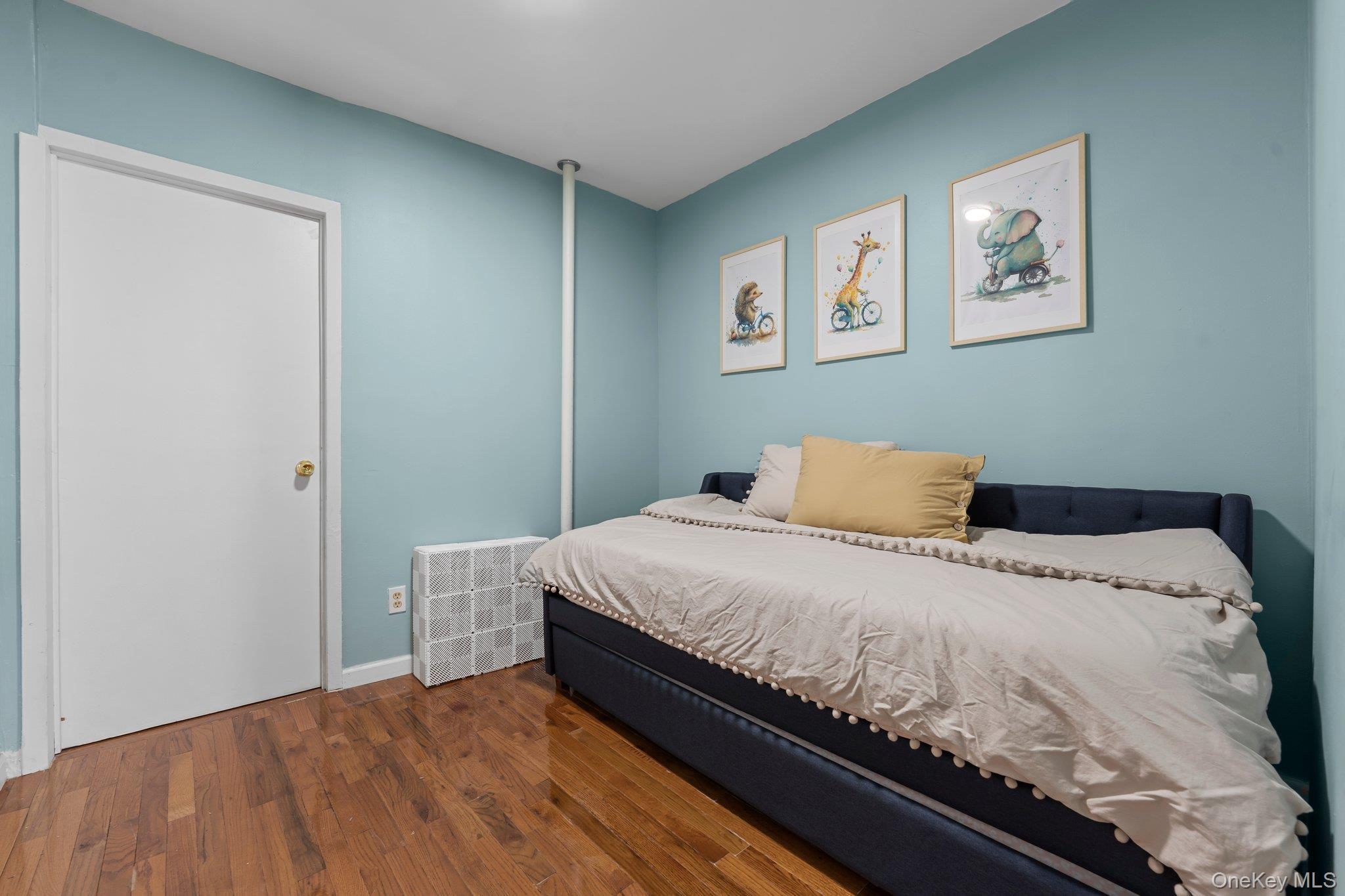 Single Family St Brooklyn, NY 11233, MLS-984717-8
