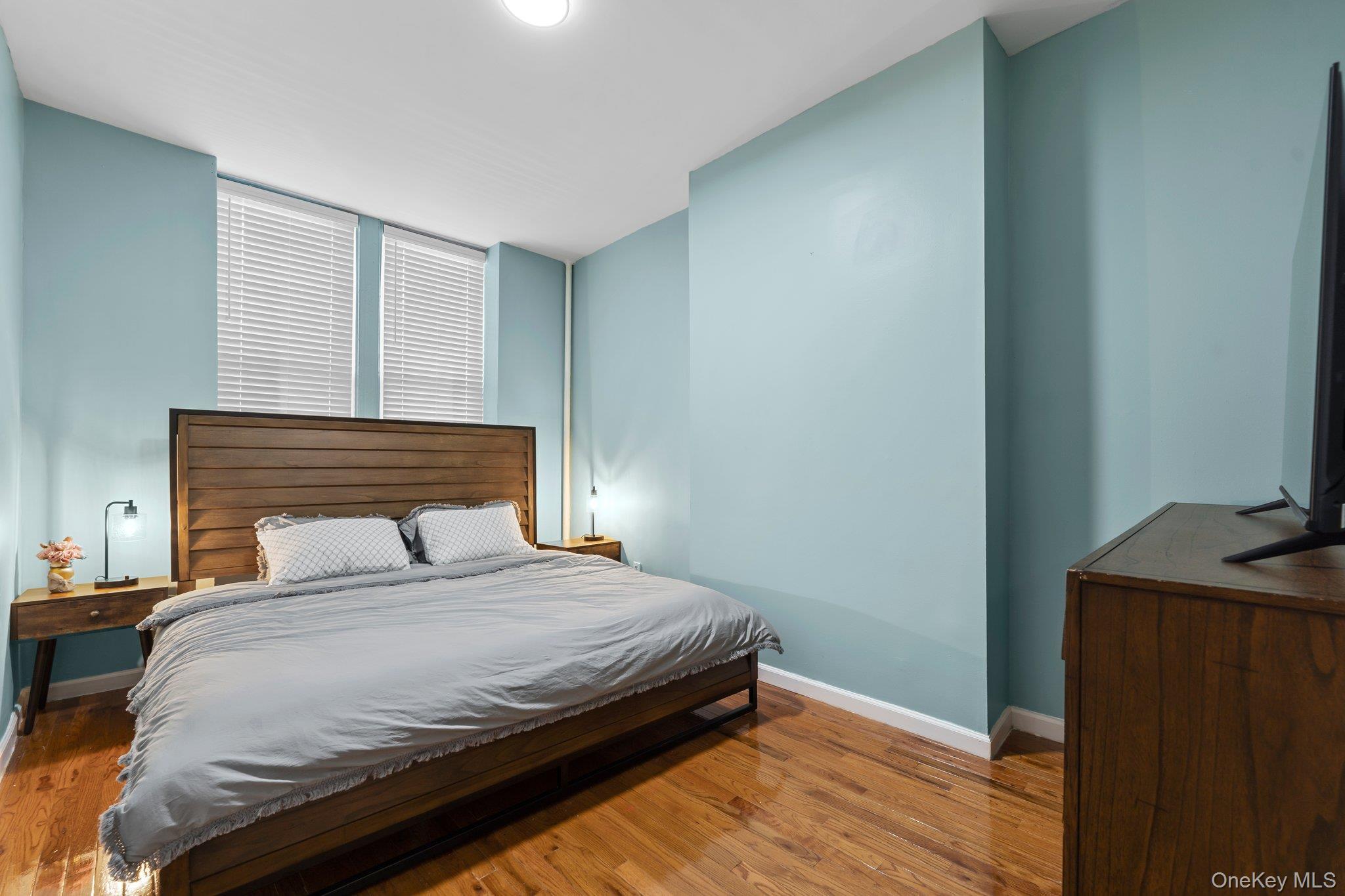 Single Family St Brooklyn, NY 11233, MLS-984717-9