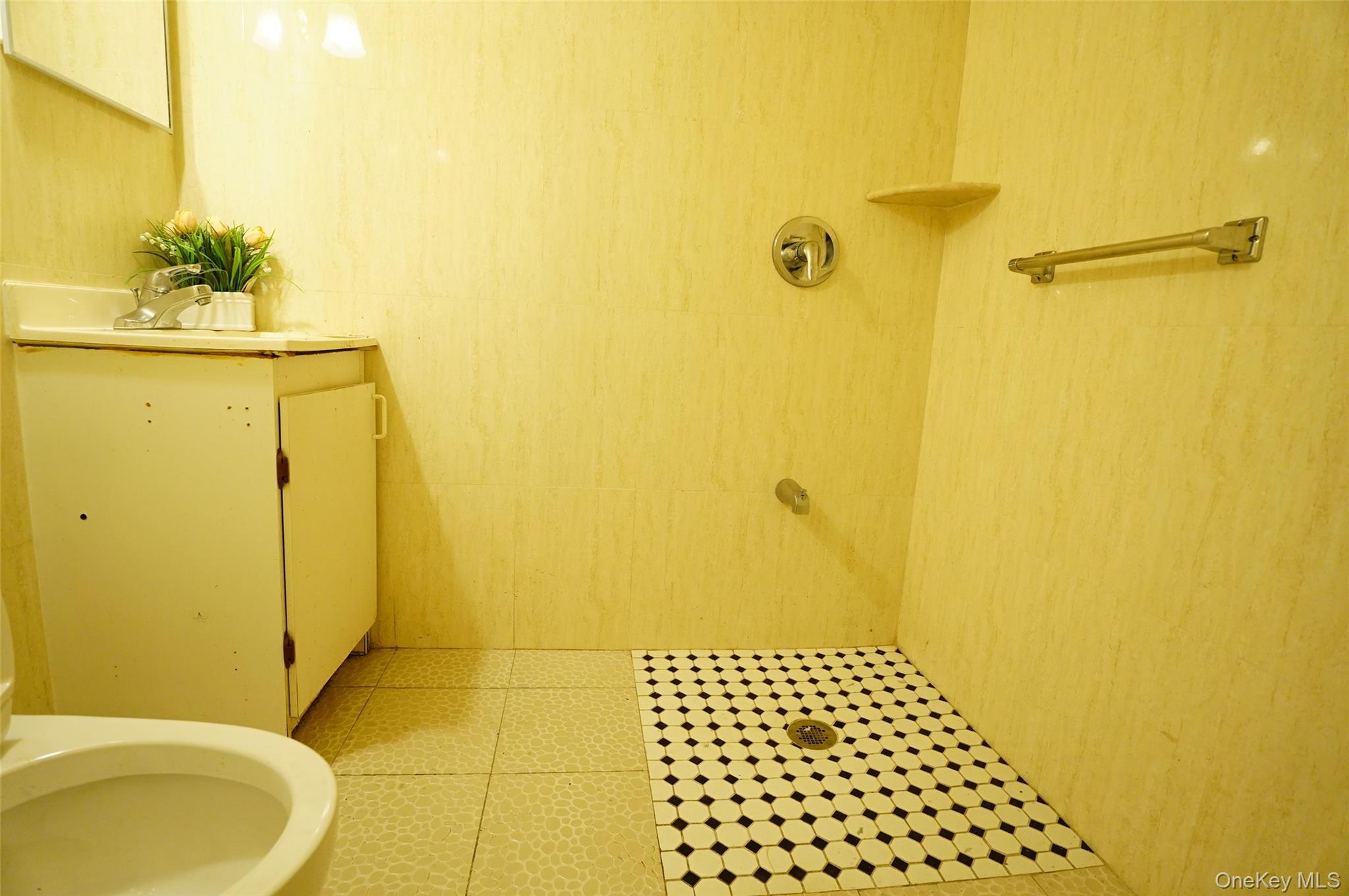 Single Family 163rd Street  Queens, NY 11358, MLS-984749-18