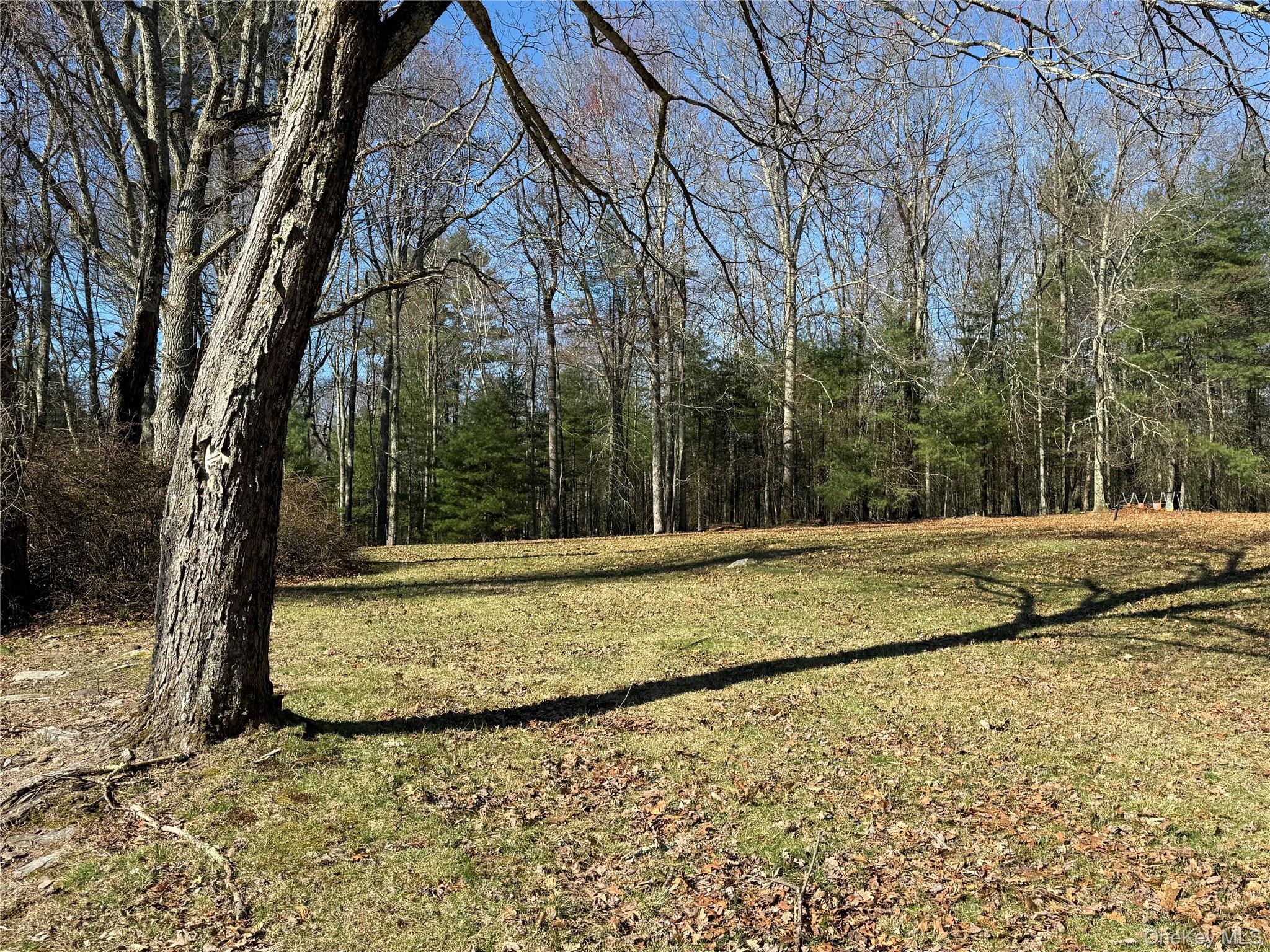 Single Family Eldred Yulan Road  Sullivan County, NY 12732, MLS-984770-6