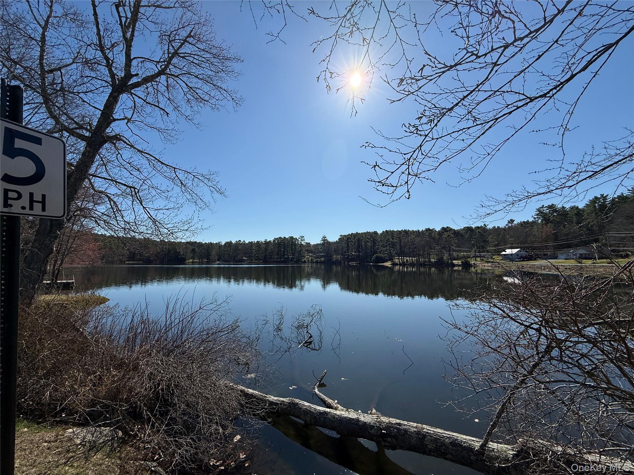 Single Family Eldred Yulan Road  Sullivan County, NY 12732, MLS-984770-8