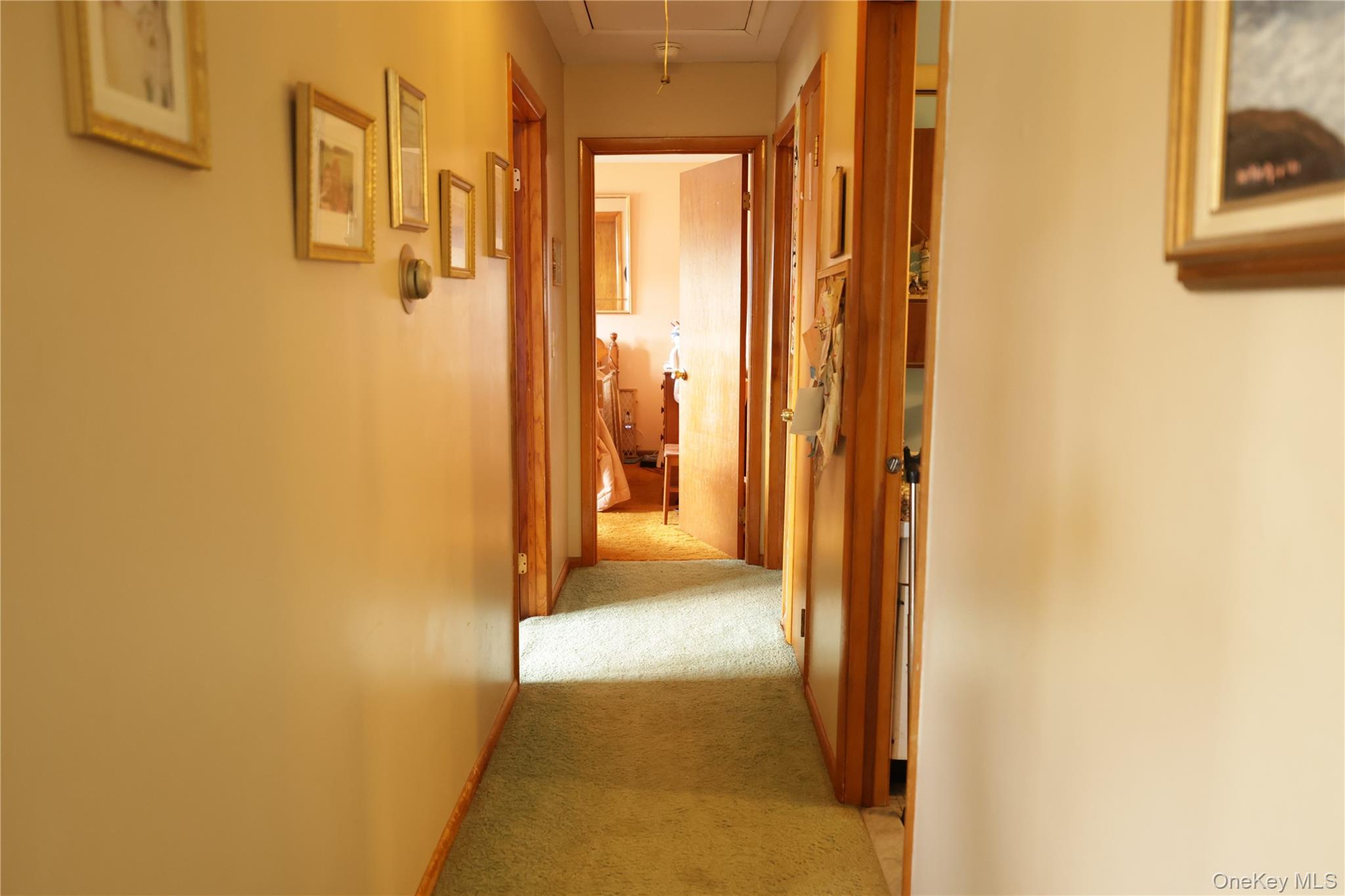 Single Family Ona  Orange County, NY 12553, MLS-984837-7